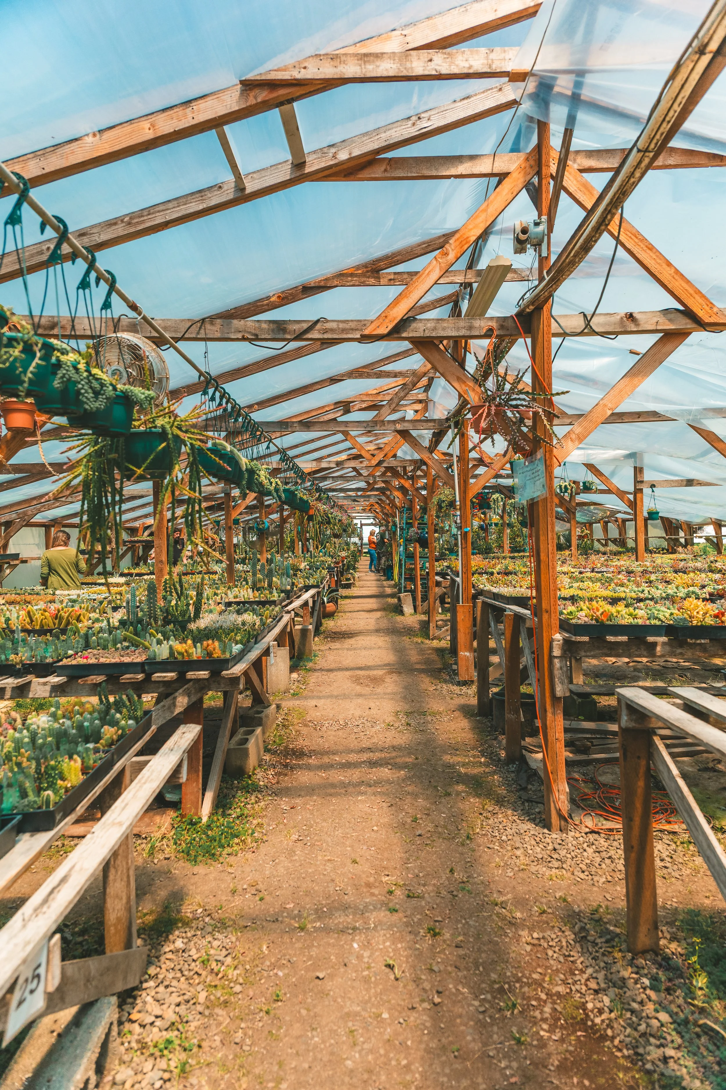Yaquina Succulent Farm - Credit - Sterling10.jpg