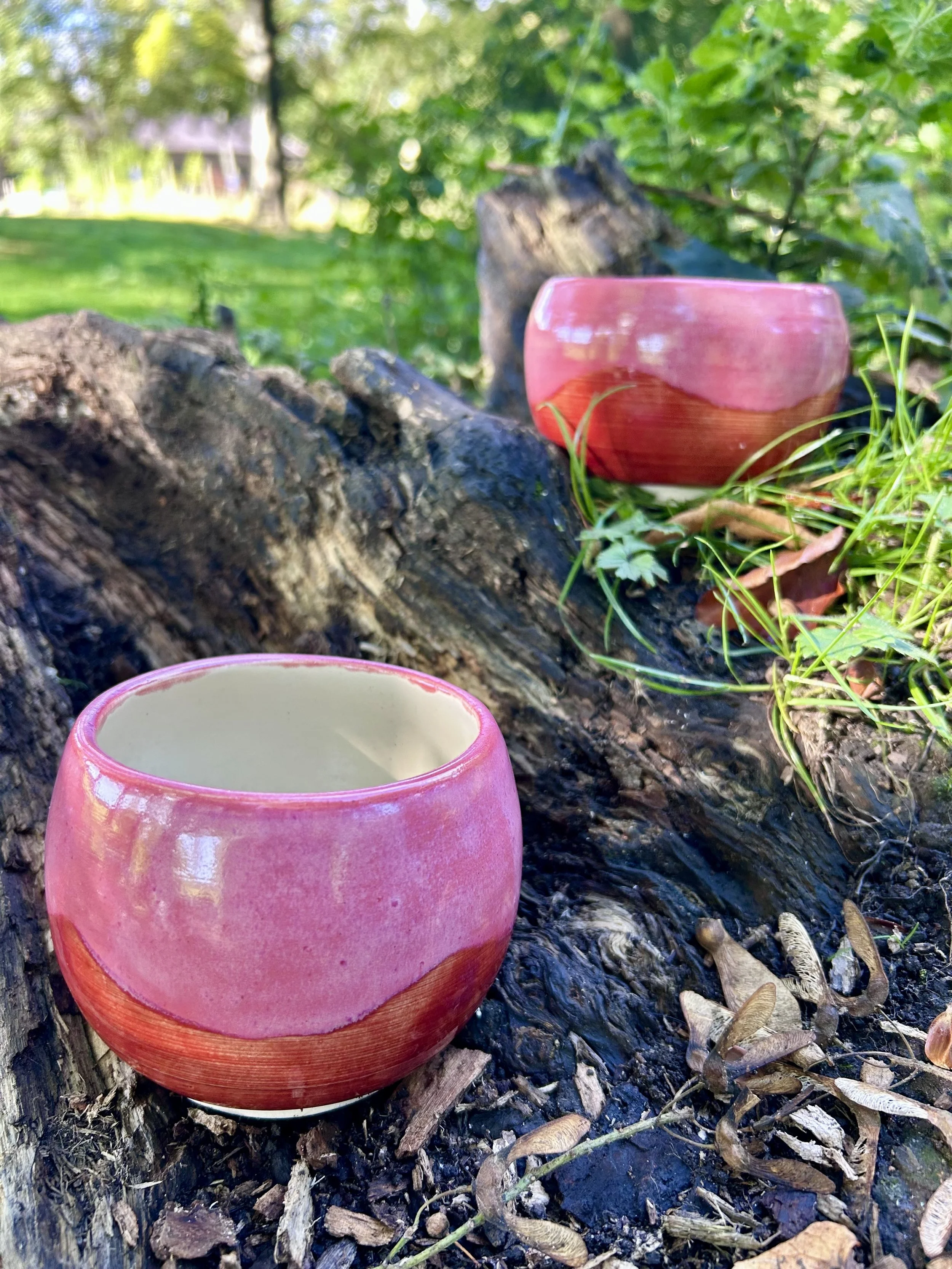 Vibrant Two-Tone Ceramic Bowls