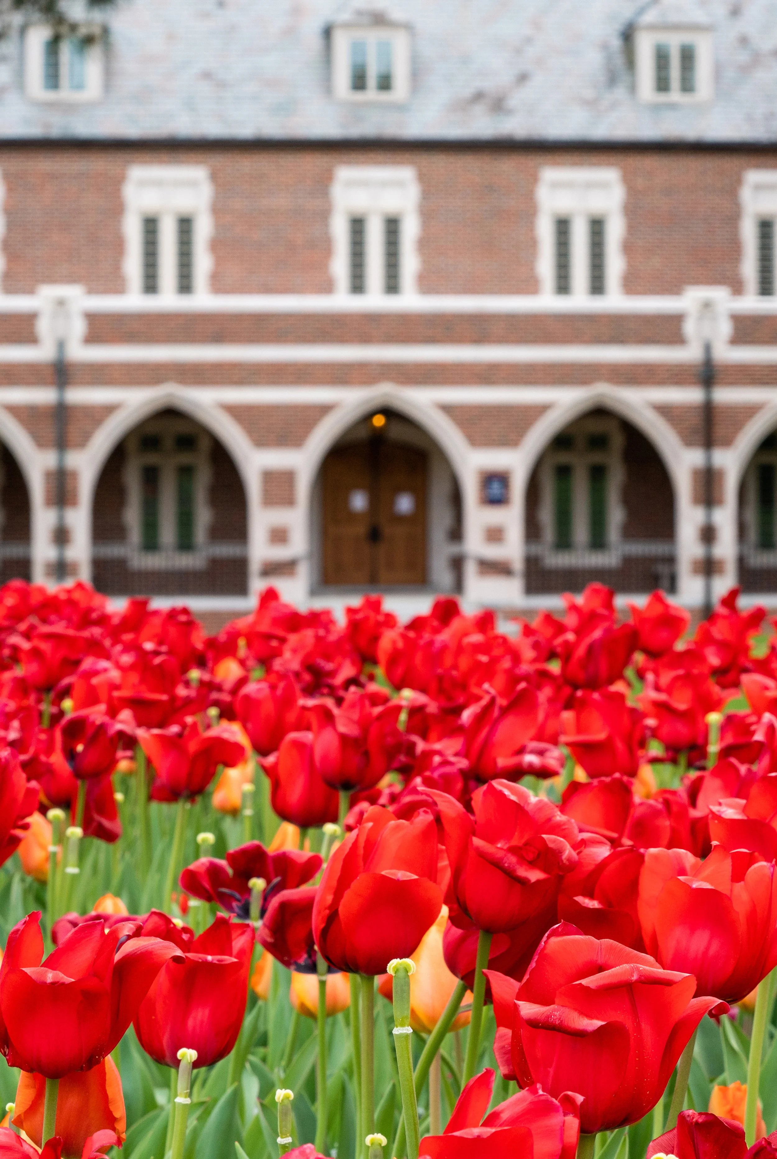 Campus_040120-0160-edit.jpg