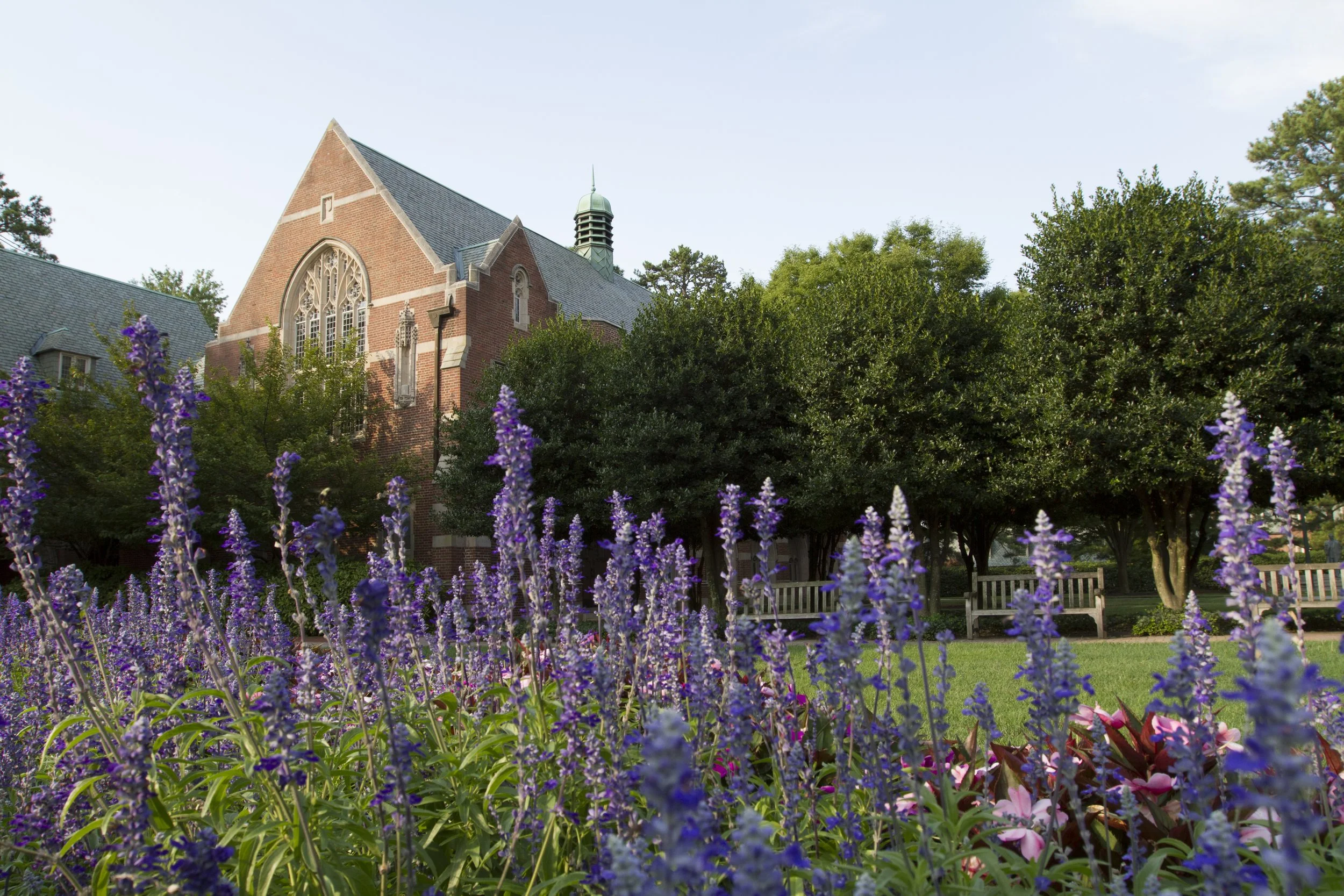 stern-plaza-ryland-flowers-25.jpg
