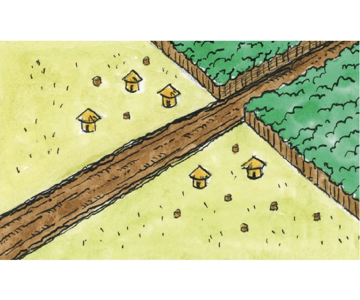 amazon-roads.jpg