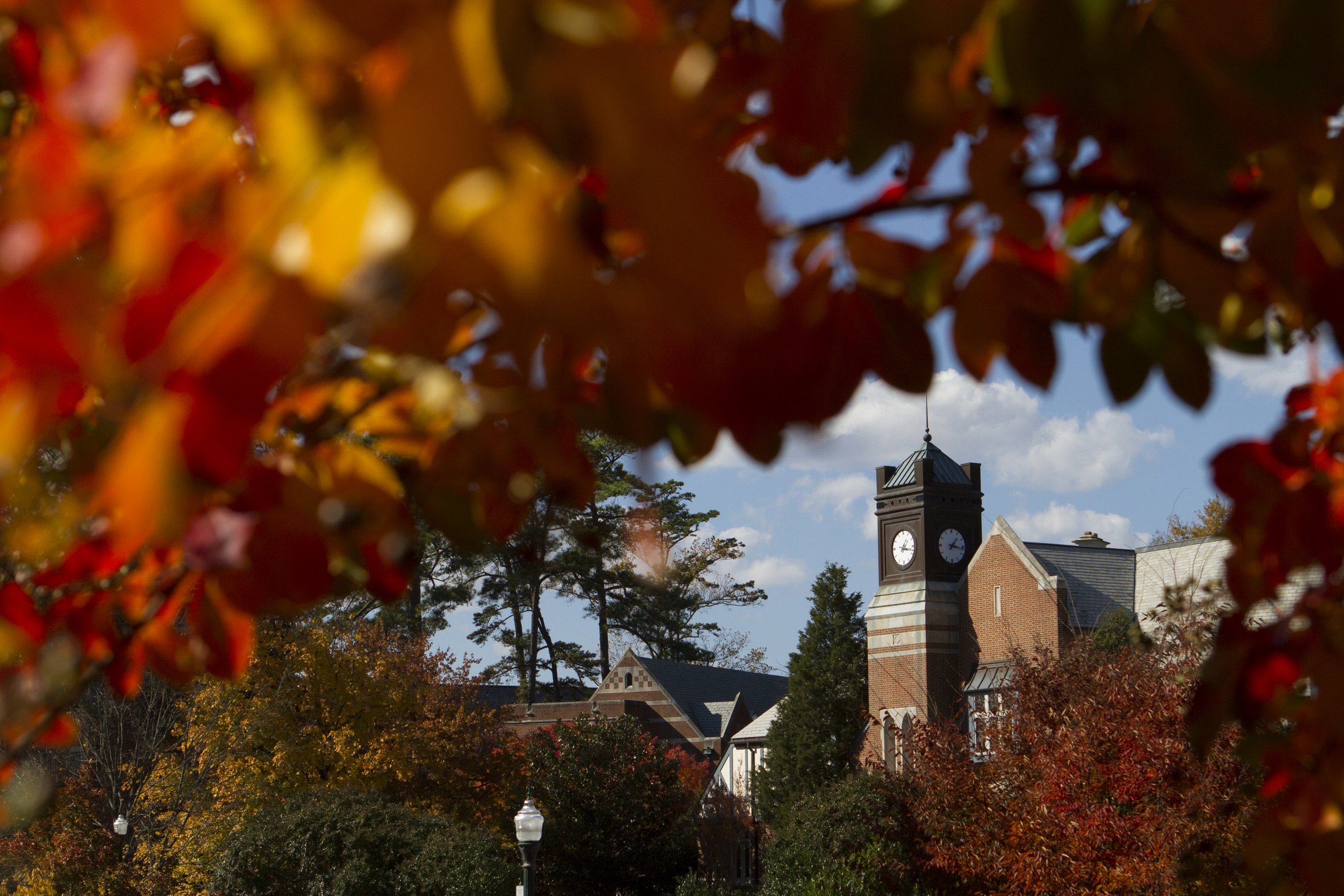 campus-fall-beauty-2013-33-edit.jpg