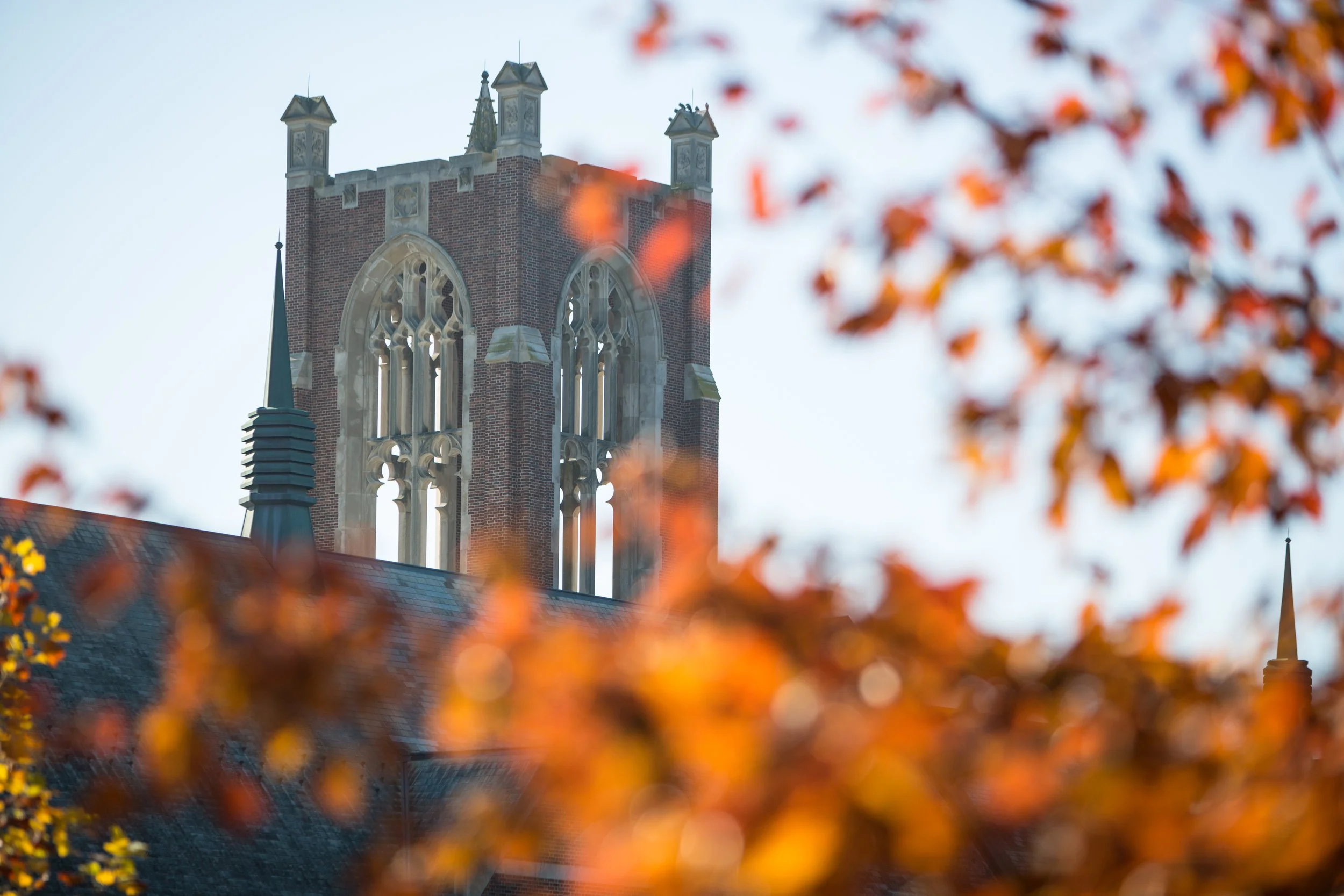 fall-campus-56.jpg