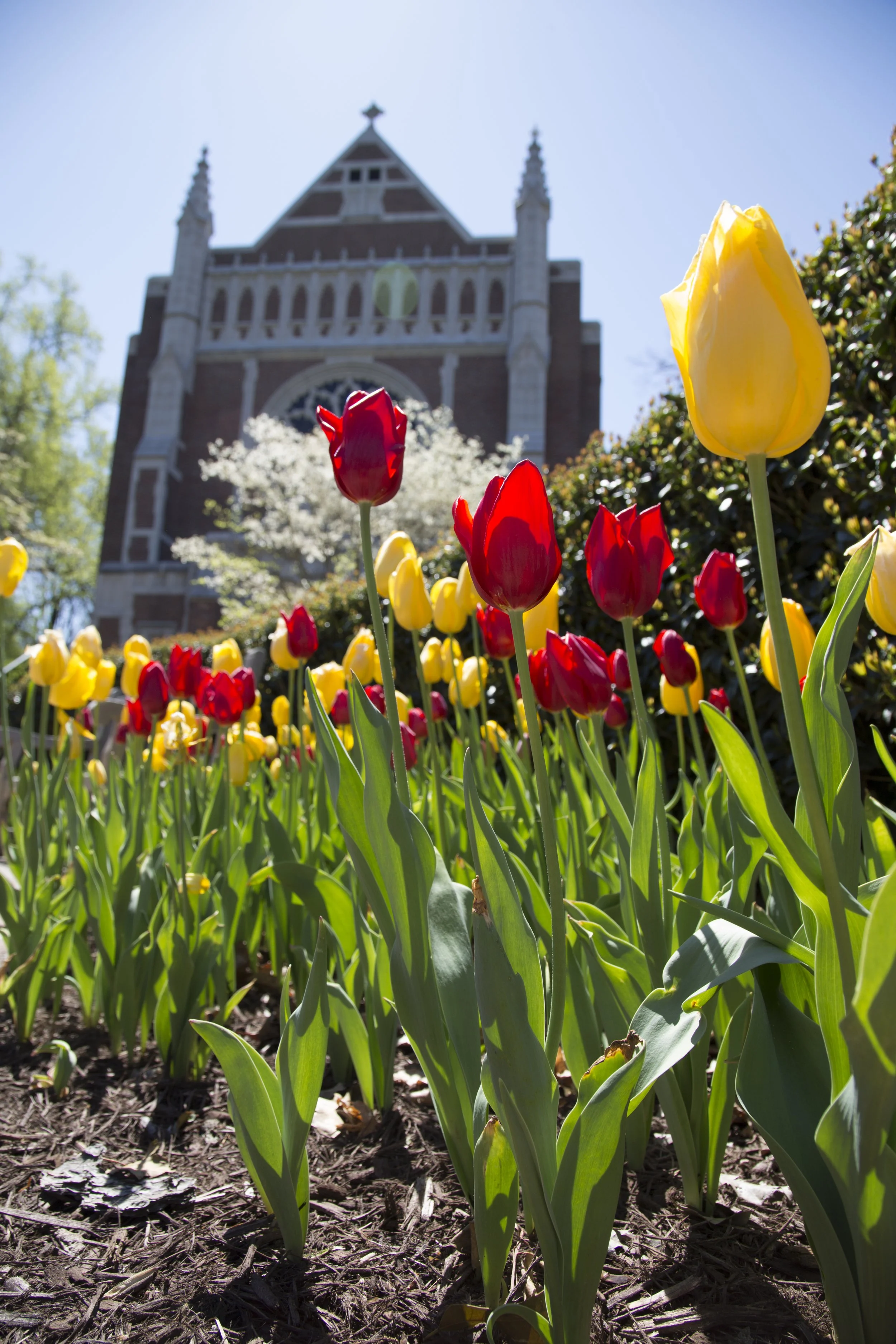 campus-beauty-spring-16-04.jpg