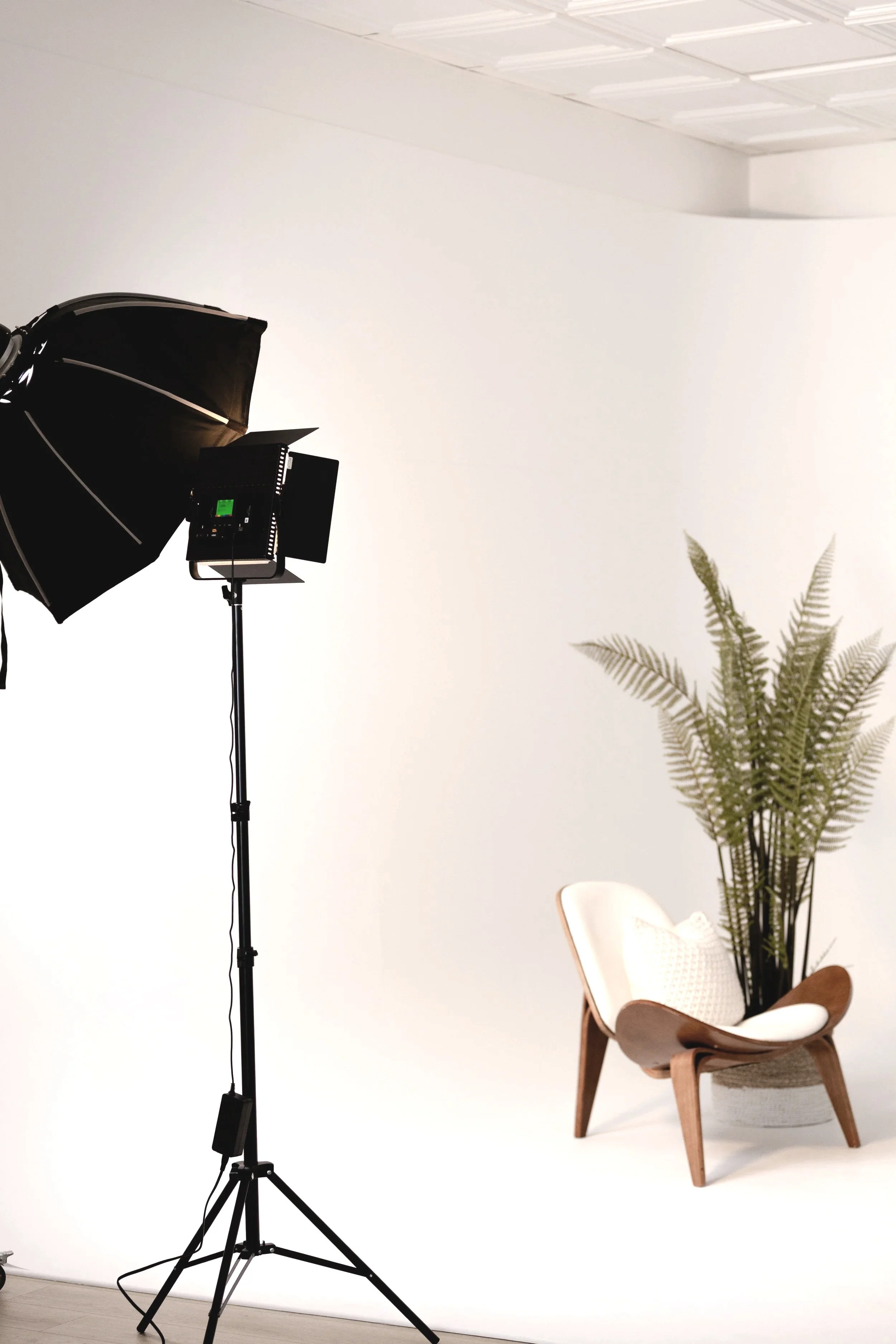 A photography studio setup with a large black umbrella light, a softbox, a white chair with wooden accents, a potted plant, and a white background.