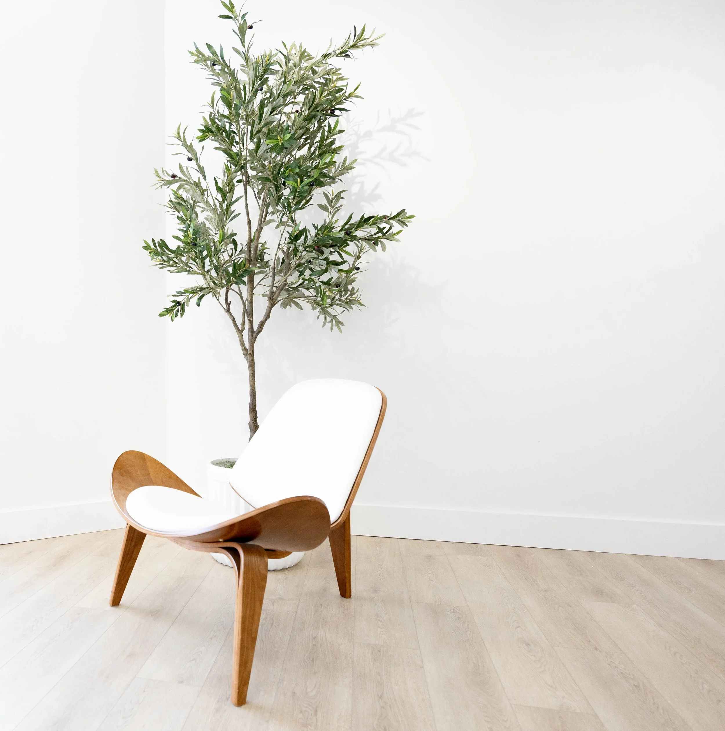 A modern interior space with a light-colored wooden floor and a white wall. There is a wooden armchair with light-colored wood and a white base. Next to the chair, there is a large white pot with a green leafy plant that has small black berries. The 