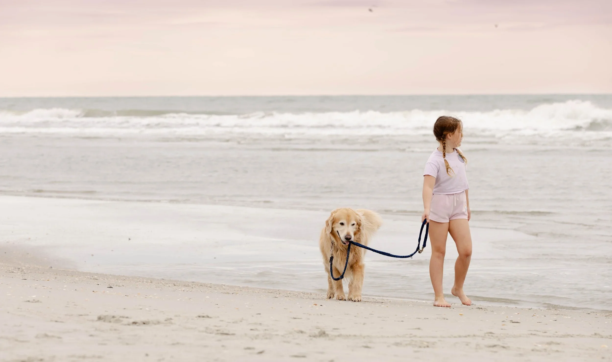 A young girl with brown hair in braids walking her golden retriever on a leash along the beach as waves come ashore during a cloudy day.