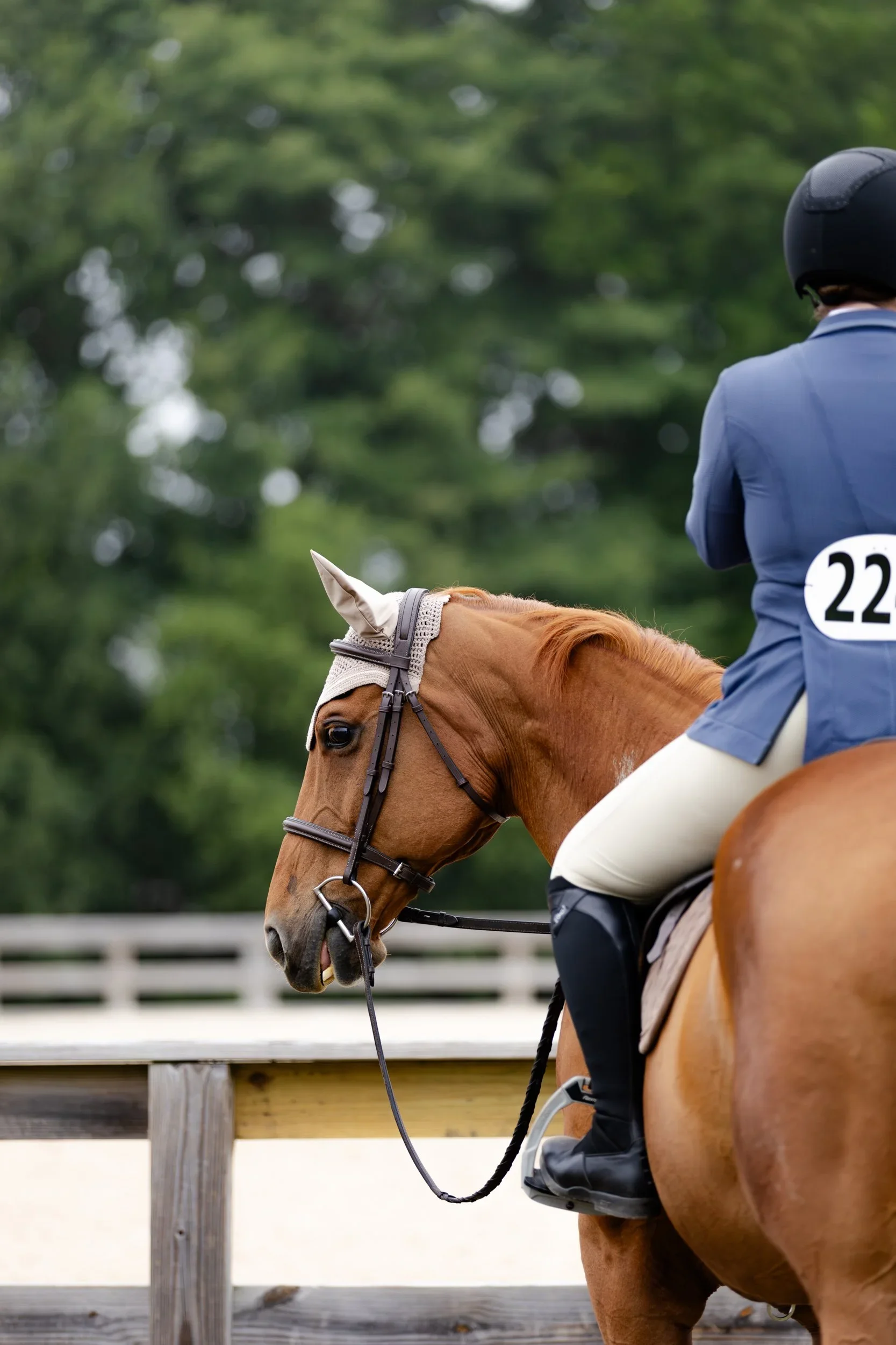 A person riding a horse in an outdoor equestrian event, wearing a blue jacket with the number 22 on it, a helmet, and riding gear, with greenery in the background.