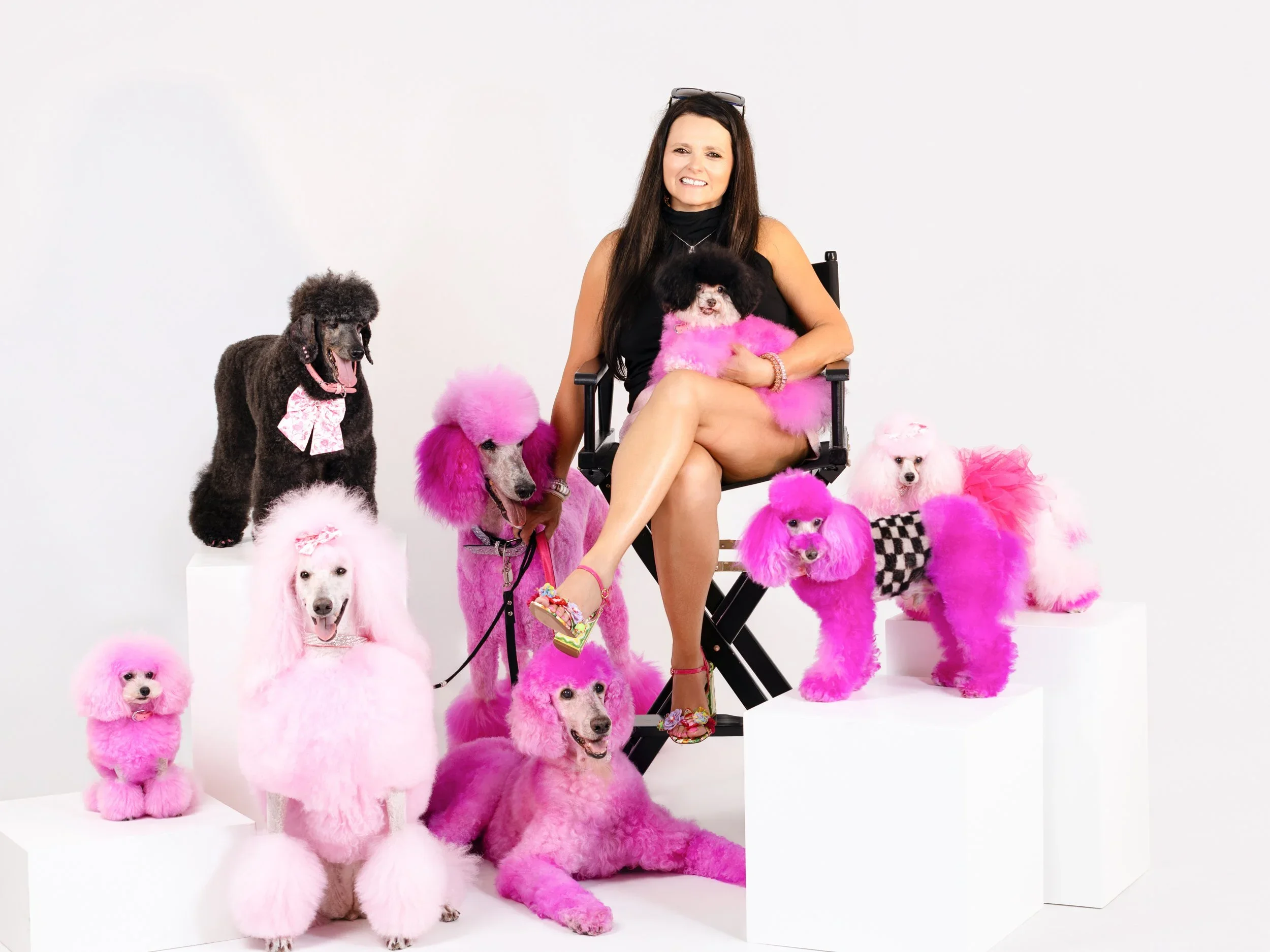 Woman sitting in a chair surrounded by pink and black poodles in a studio with a white background.