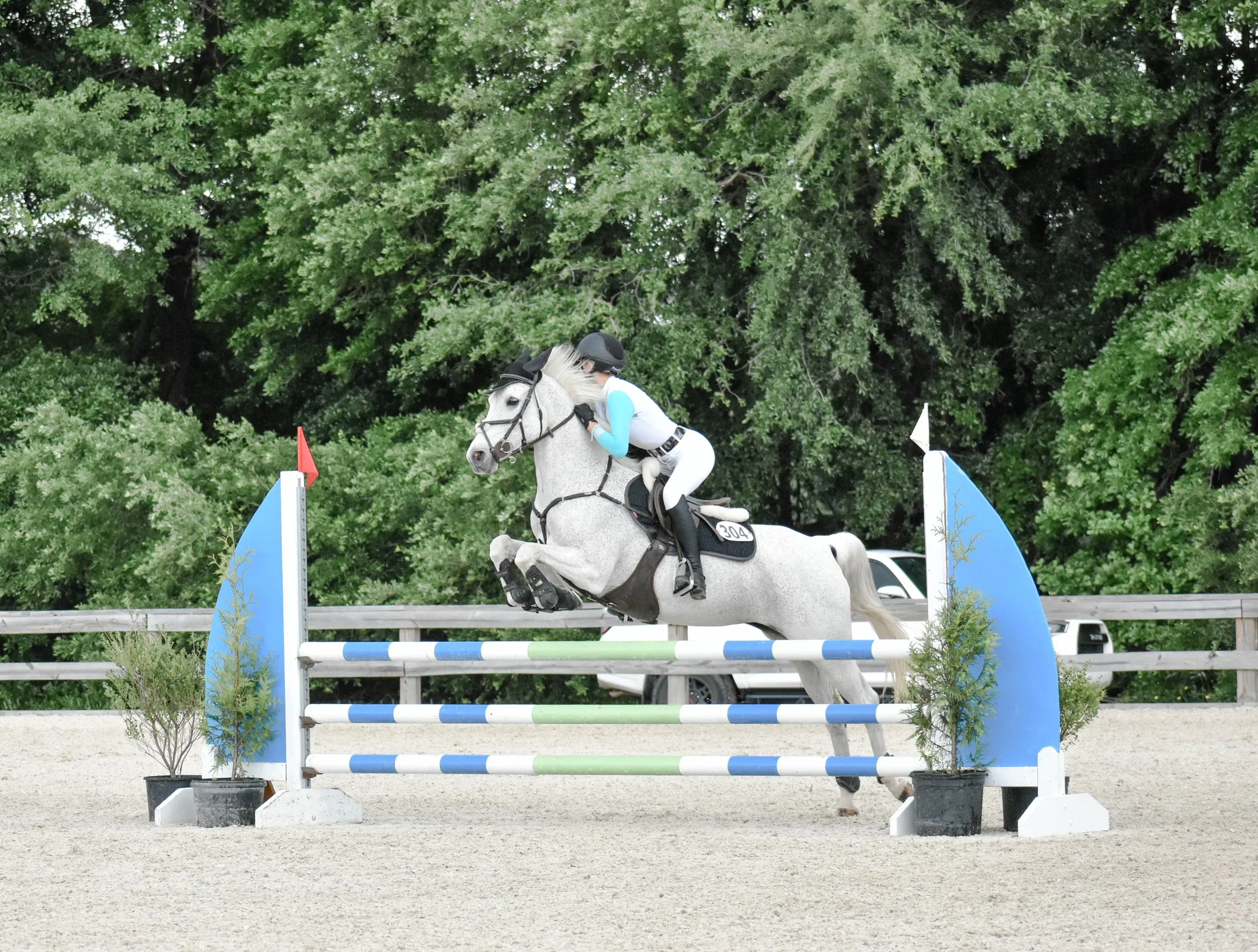 A person riding a gray horse and jumping over a colorful obstacle during an equestrian competition outdoors, with trees in the background.