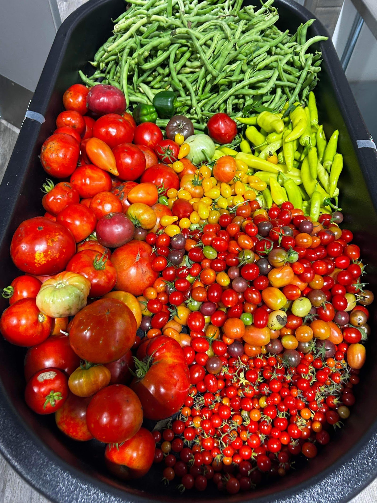 farm-stand-harvest.jpg