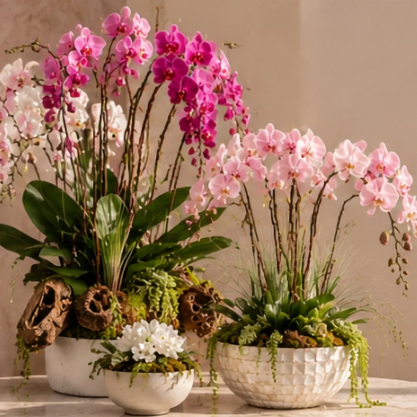 Pink Orchid Garden.jpg