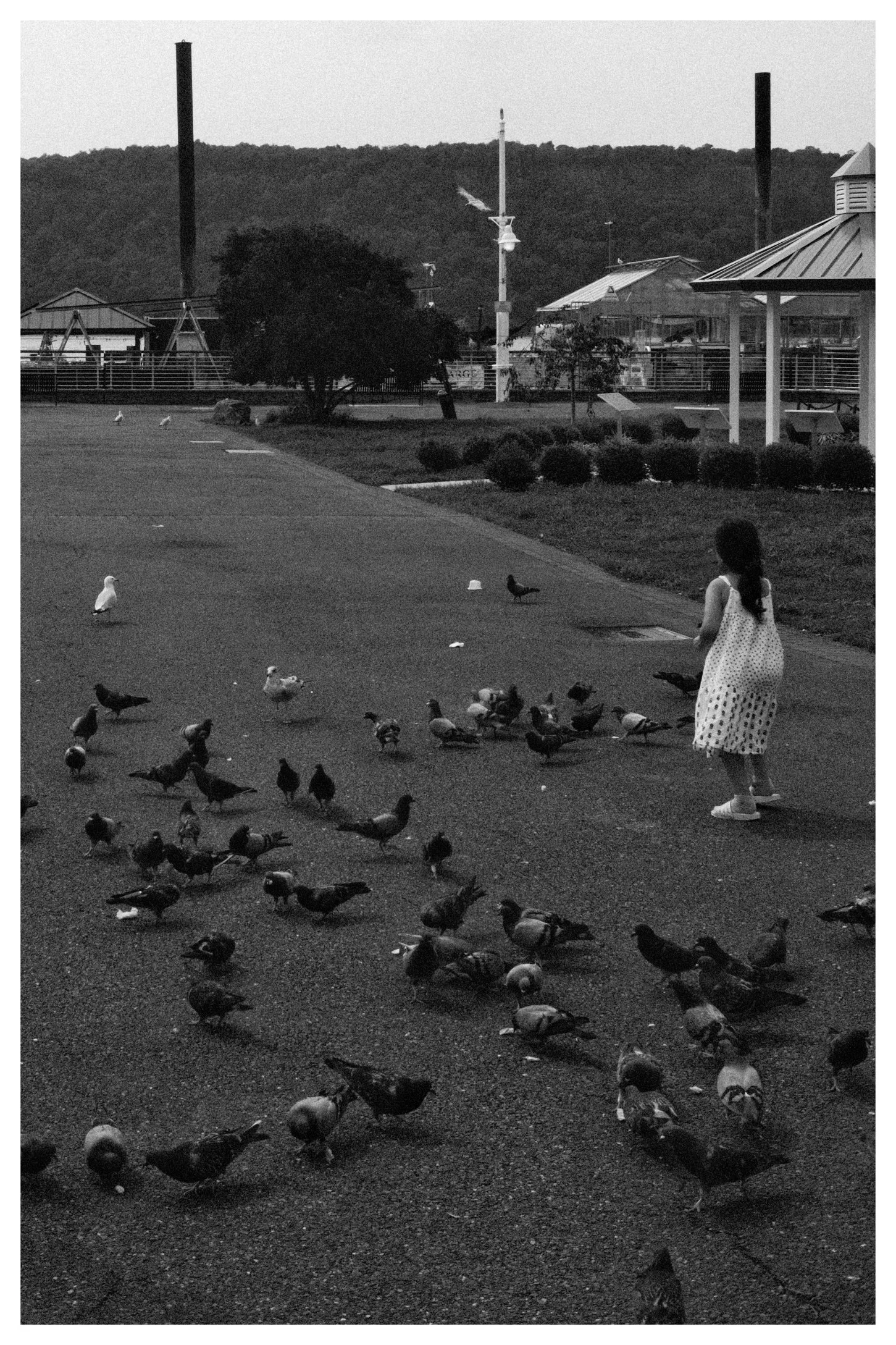 A little girl in a polka dot dress and sneakers feeding a large flock of pigeons in an open park area, with trees, small structures, hills in the background, and a cloudy sky.