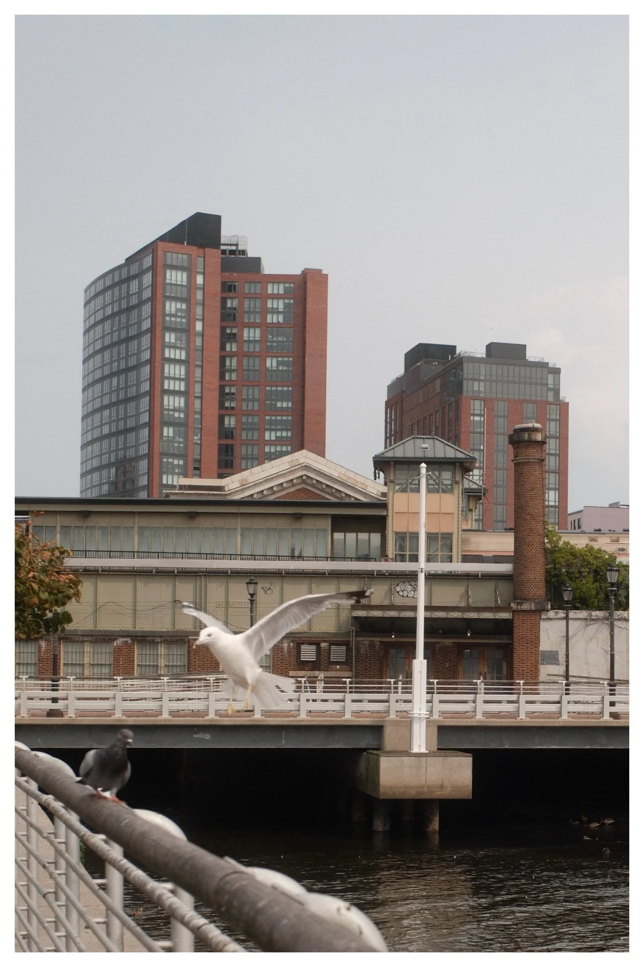 A city river scene with modern high-rise buildings in the background and a bridge with railings over water in the foreground. Birds, including a white one with wings spread, are on the bridge.