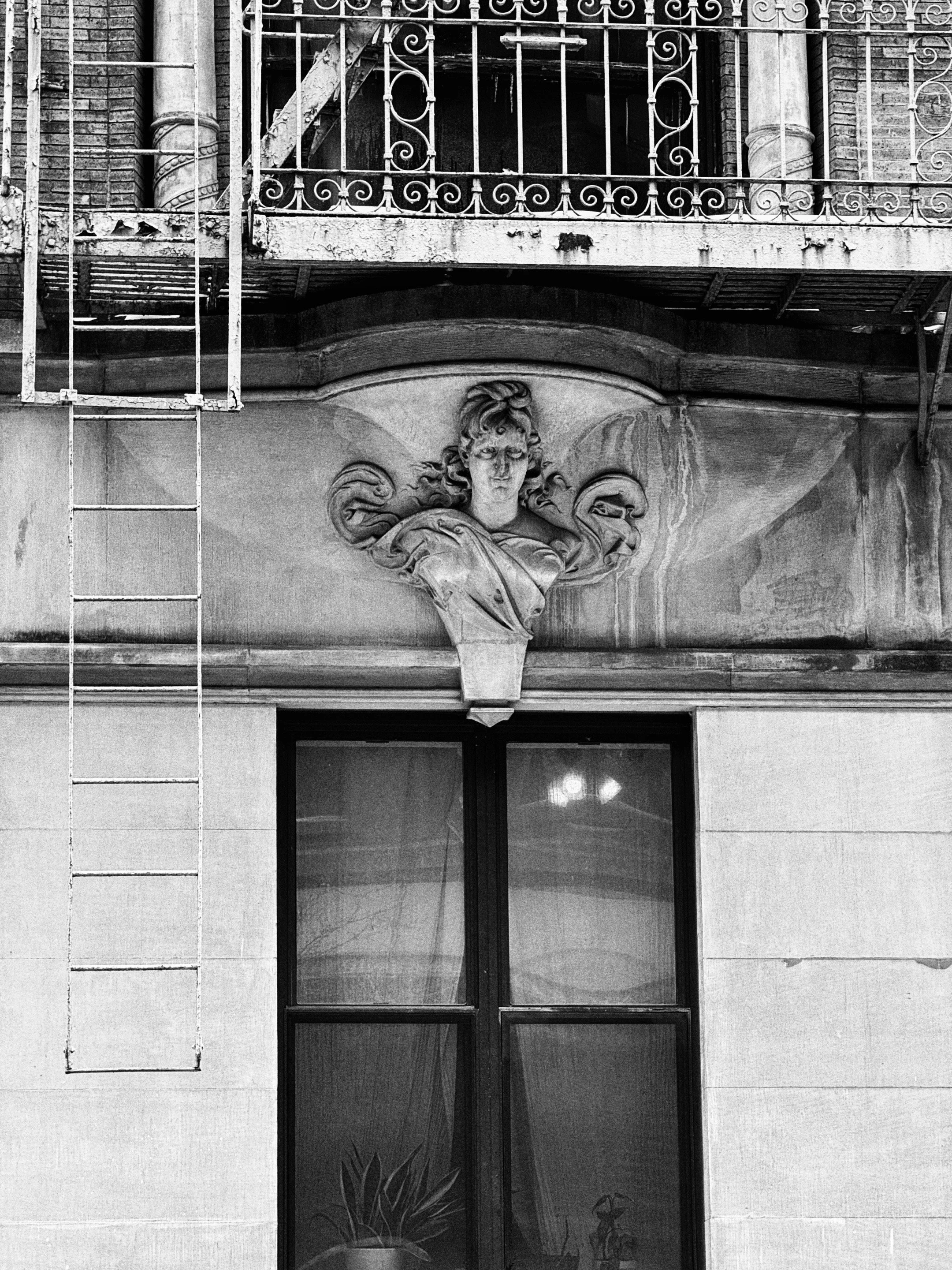 A black-and-white photograph of an ornate lion head decorative element on a building's facade above a large window with plants silhouette behind the glass, and a fire escape ladder on the left side of the image.