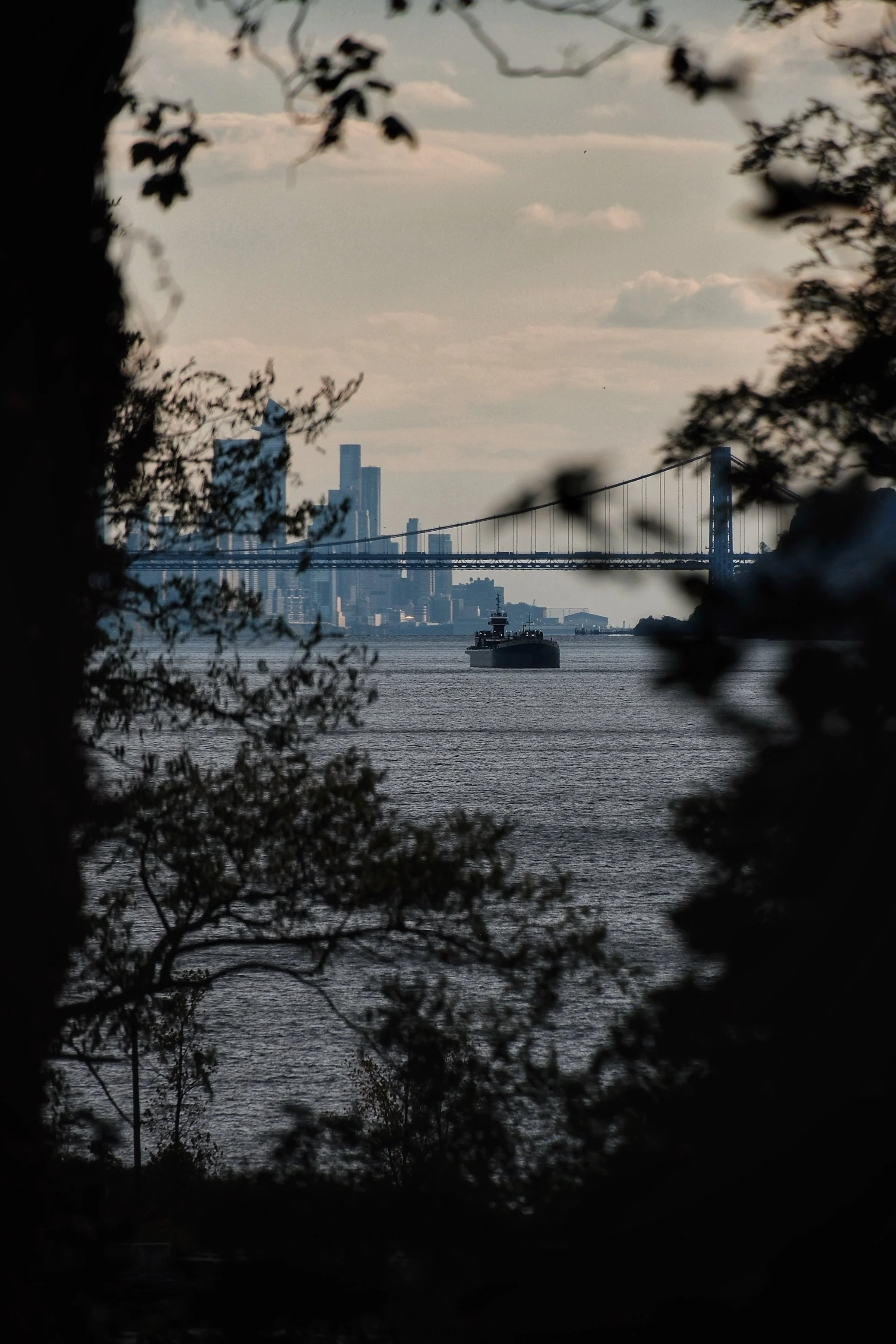 A scenic view of a river with a boat, a city skyline in the background, and a bridge connecting two areas, framed by trees and branches.