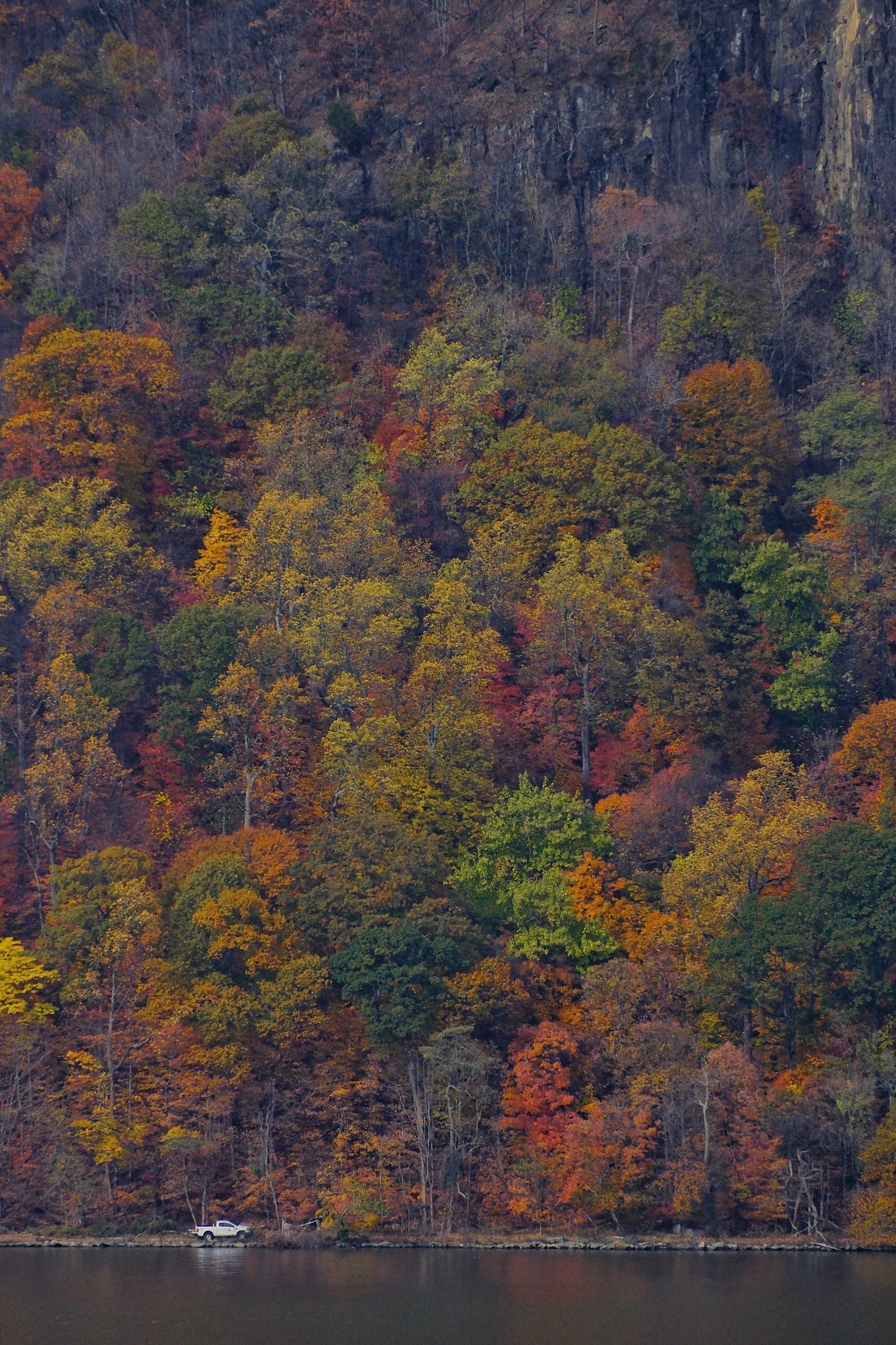 A white pickup truck parked along the shoreline of a body of water with a forested hill in the background, displaying autumn foliage in shades of green, yellow, orange, and red.
