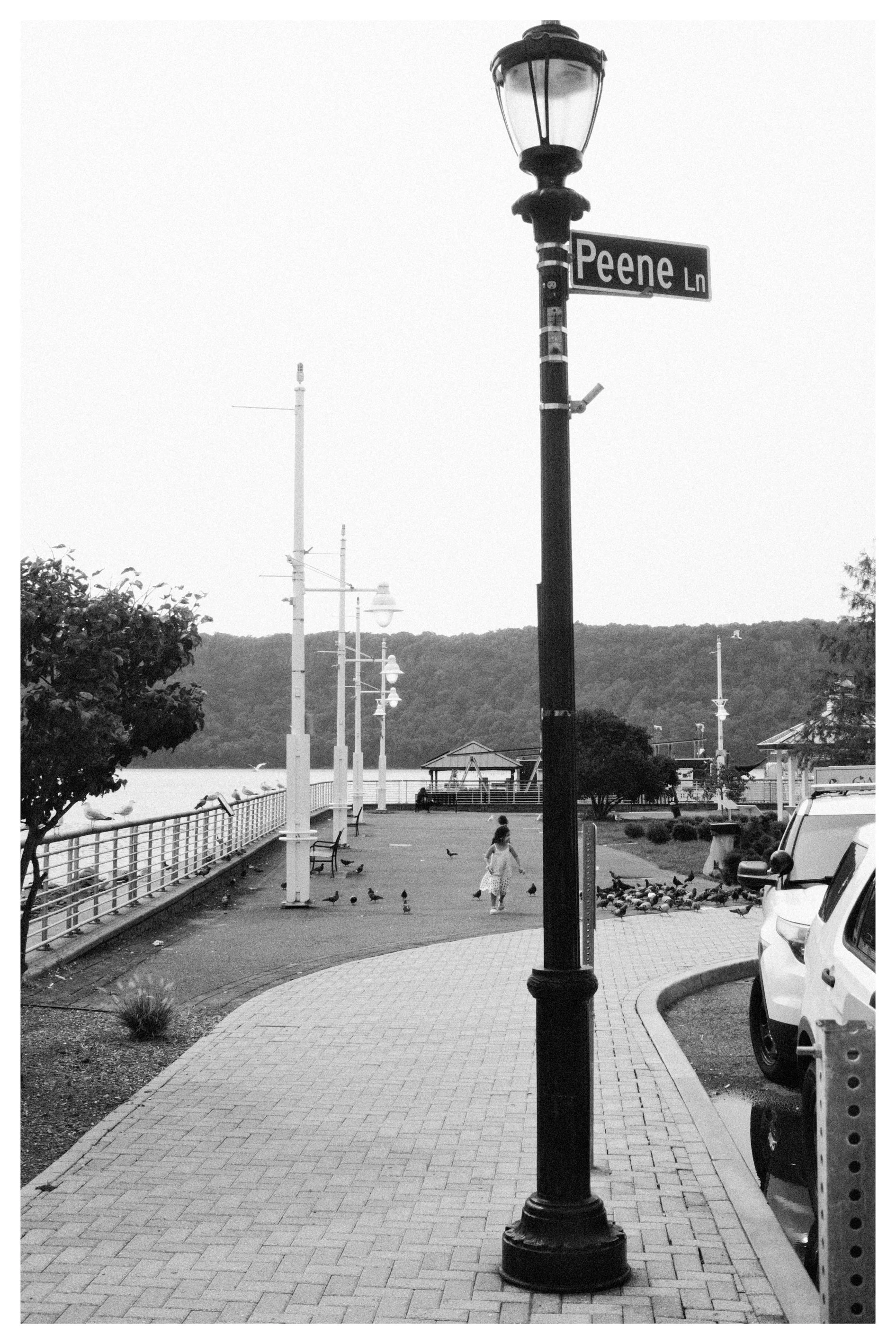 A black and white photo of a lamppost at a street intersection with a sign reading 'Peene Ln'. The street runs along a waterfront with a walking path, benches, trees, and a bridge in the background. A girl in a dress walks accompanied by pigeons.