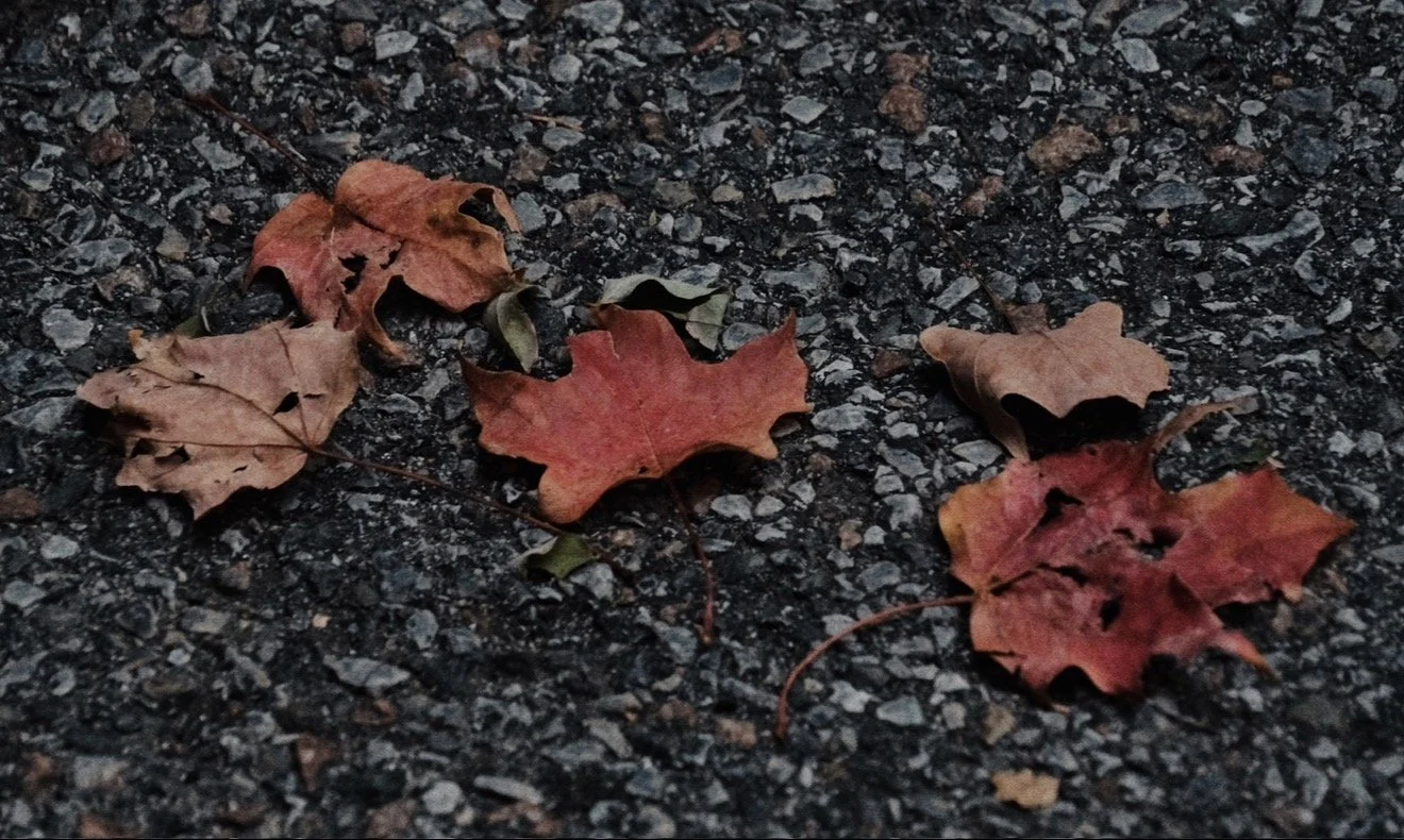 Autumn Serenity Photo Print