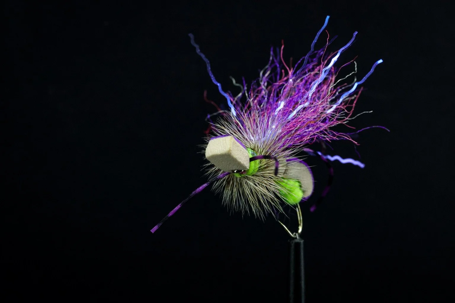 Purple, white and chartreuse fly against a black background.