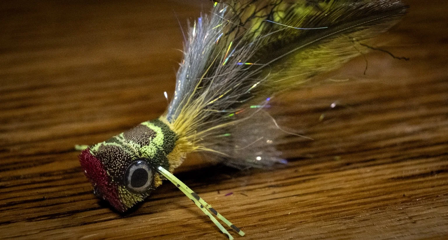 Finished Whithair Bug with a shaped burgundy face and green-banded deer-hair body on wood.