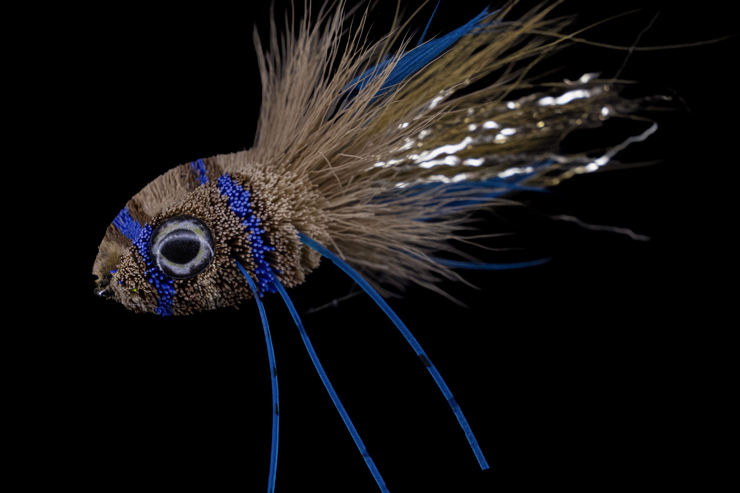 Blue-legged deer-hair slider.
