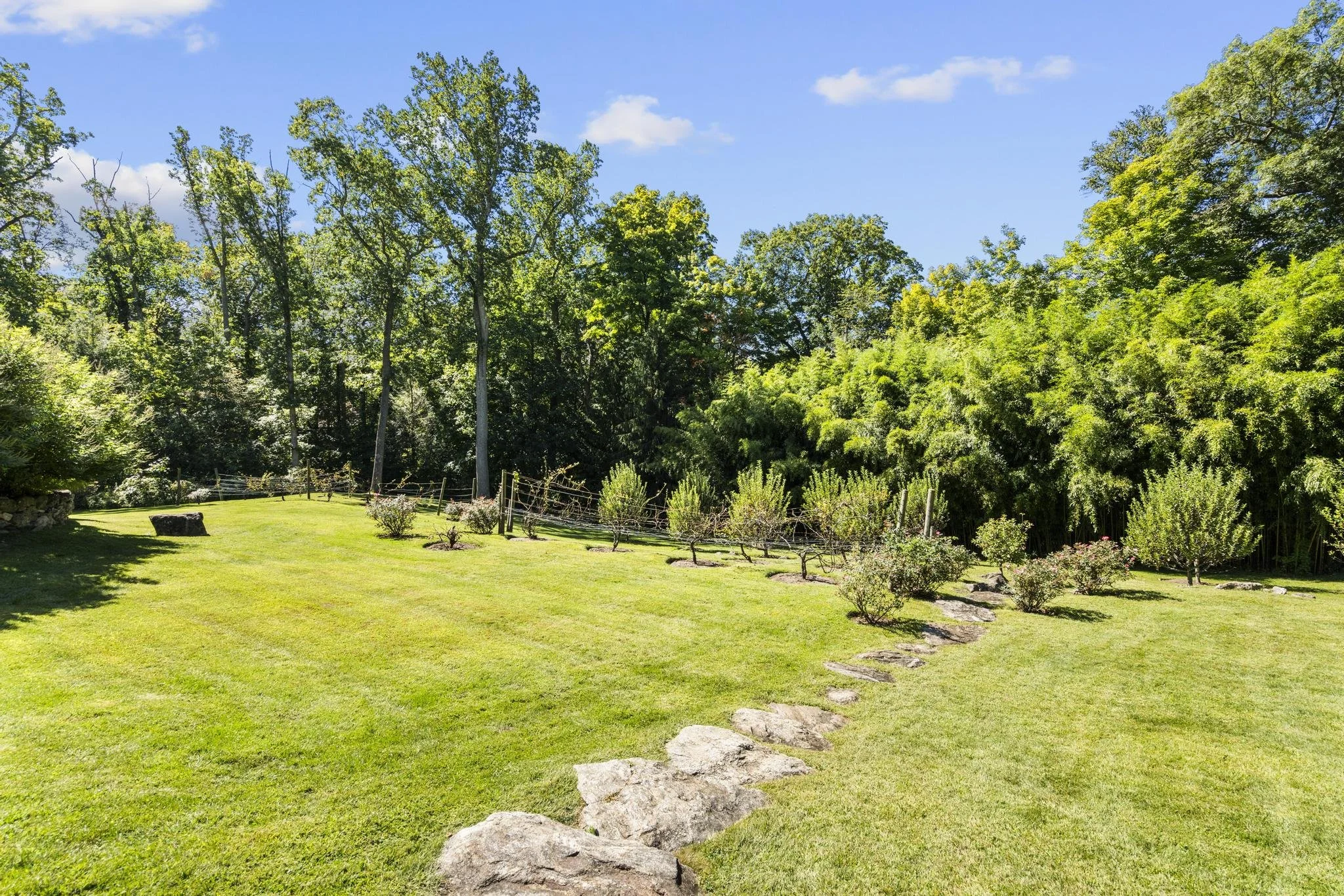 A well-maintained green backyard with a stone pathway, small shrubs, and a large wooded area with tall trees under a bright blue sky with some clouds.