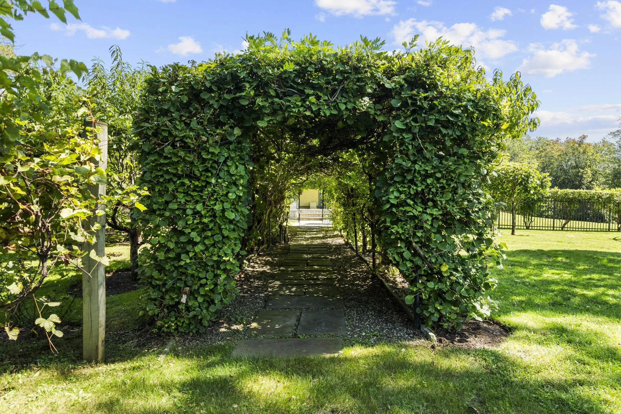 A lush green garden pathway covered by dense green vines and leaves with a glimpse of a building in the background and a bright blue sky with clouds overhead.