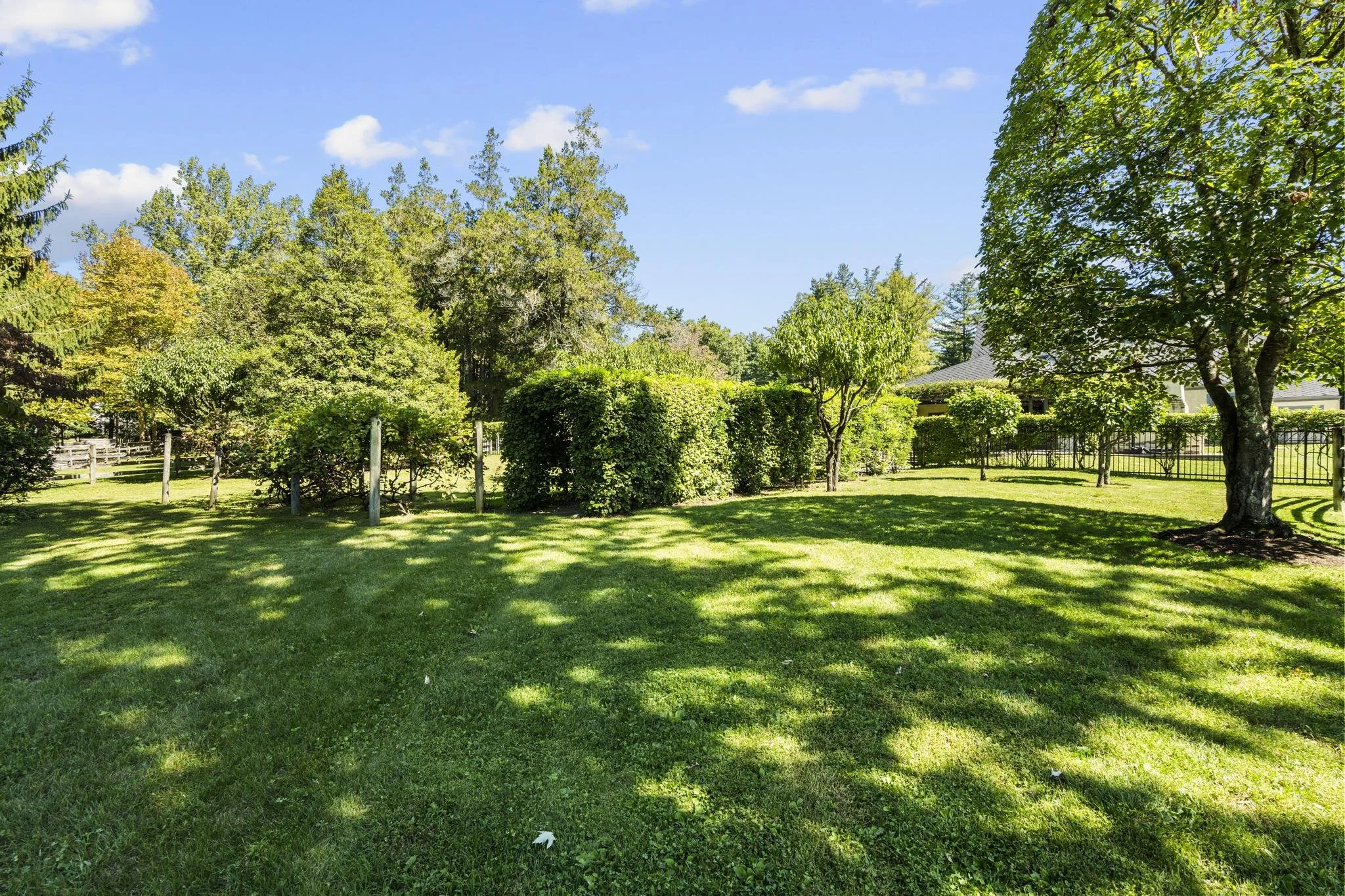 A lush green backyard with a neatly maintained lawn, several trees, and shrubs, with a house and a fence in the background under a clear blue sky.