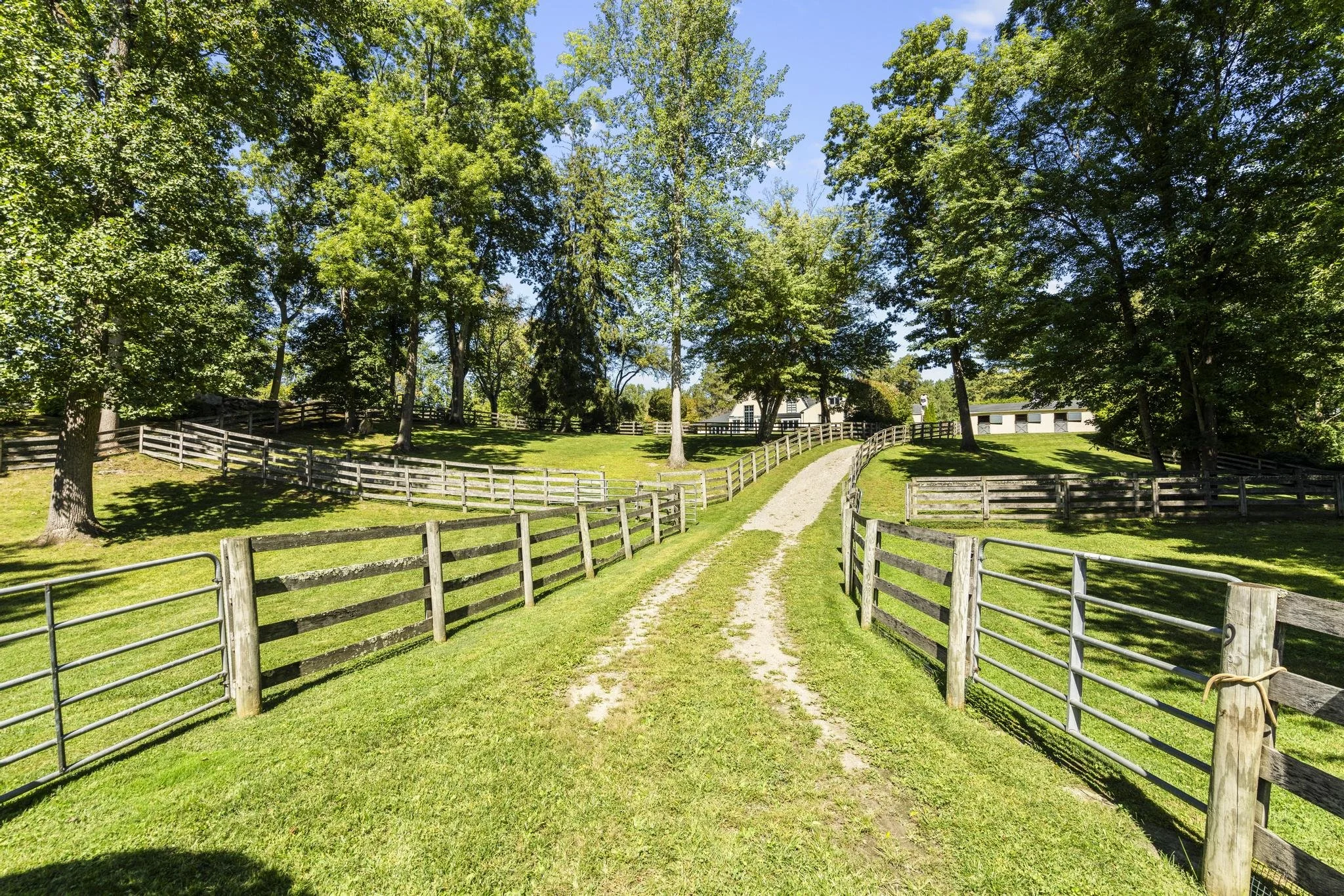 A fenced dirt pathway runs through a grassy area with tall trees on both sides under a clear blue sky, with houses visible in the background.