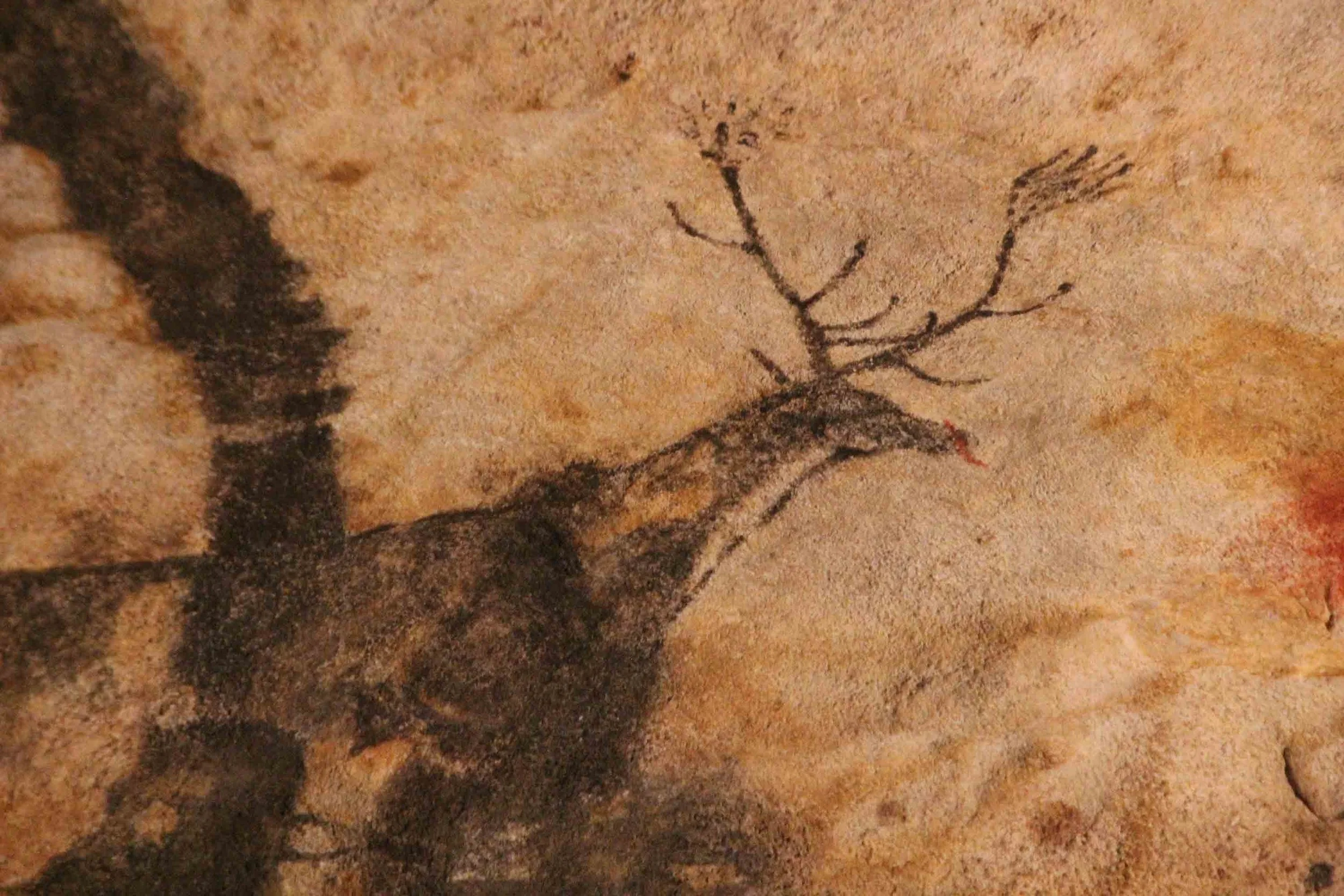 Reindeer cave painting in Lascaux Cave. Creative Commons, PDM 1.0 Public Domain Mark 1.0 Universal. France, Dordogne, Montignac, Lascaux ll Caves. Photograph by Lark Ascending; Flickr.