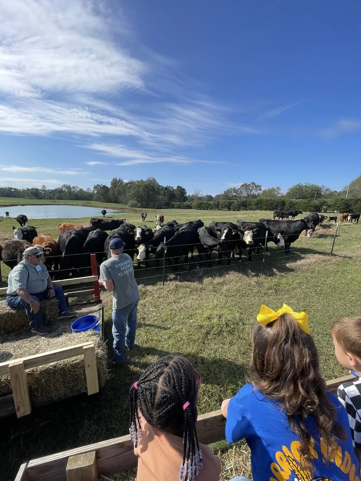 Students experience agriculture firsthand during a farm visit.
