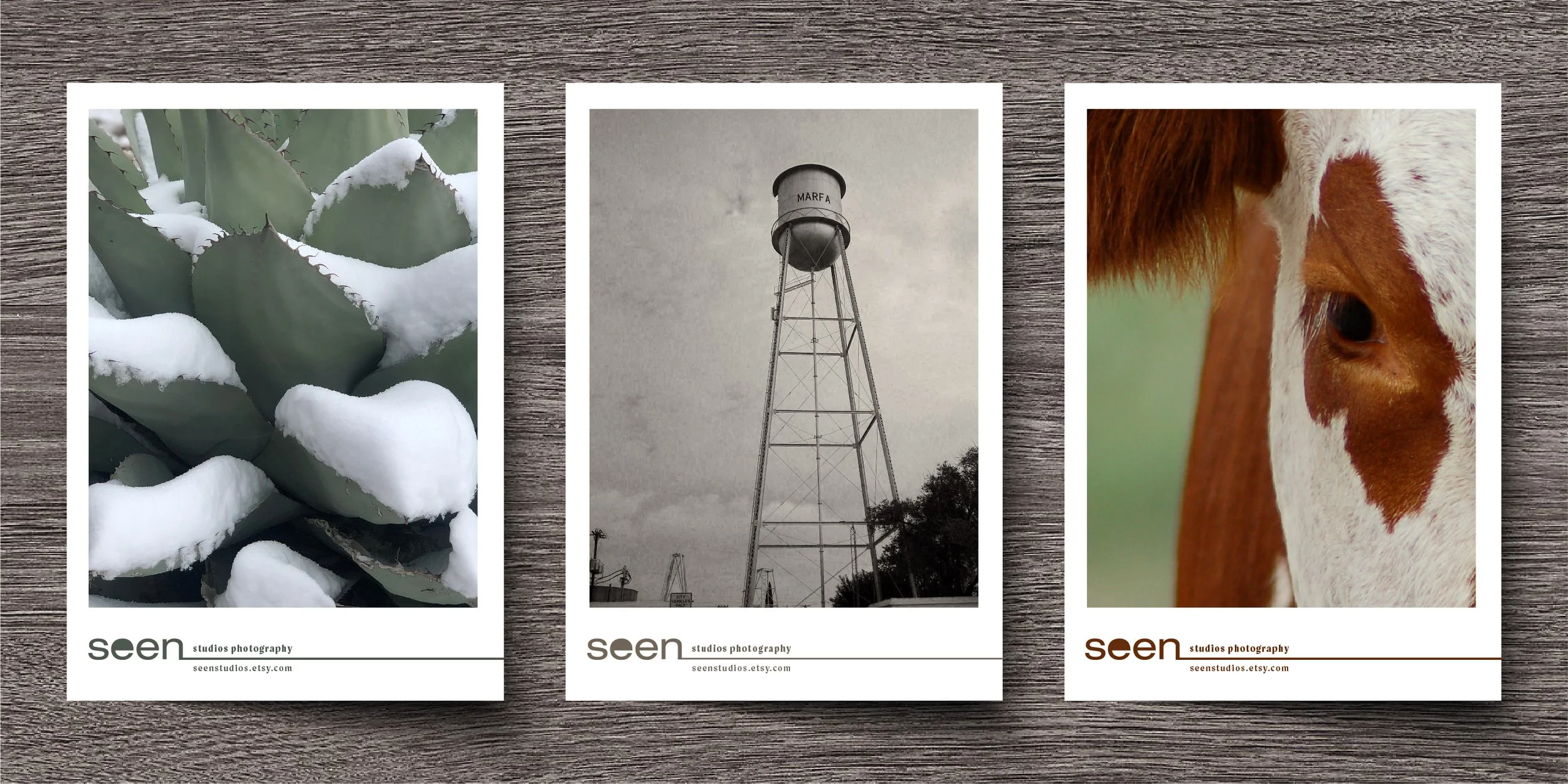 Seen Studios Postcards-01.jpg
