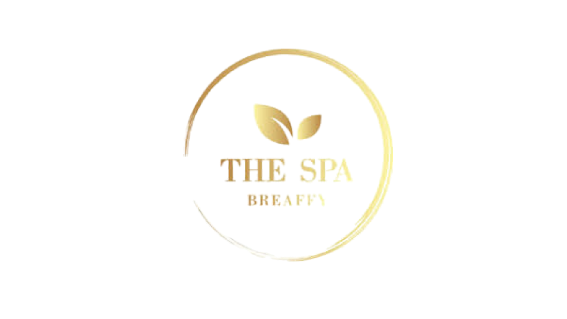 Logo of Tea Spa Beijing featuring a circular design with a tea leaf and the words 'TEA SPA BEIJING' inside.