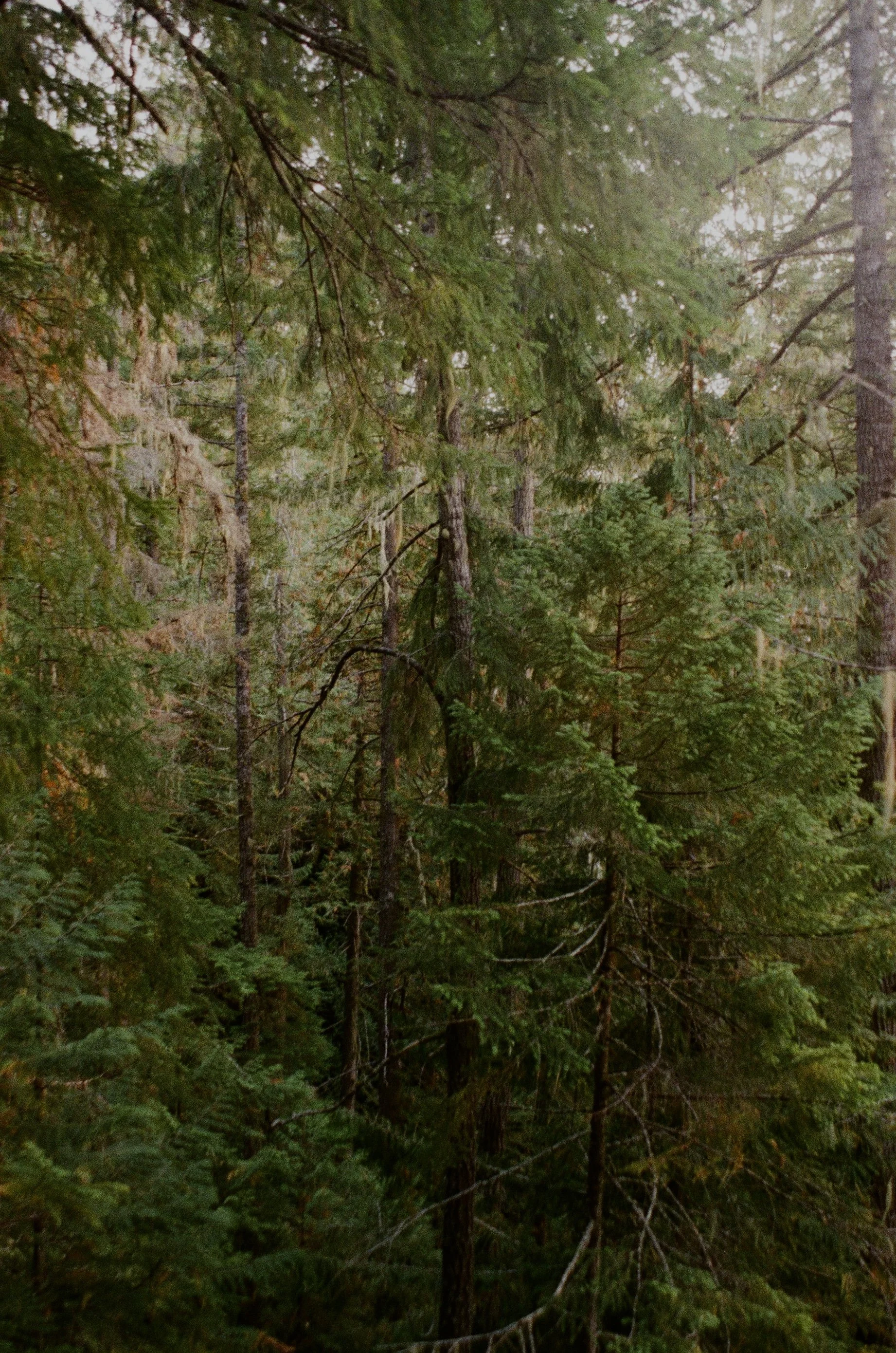 Scan214223.jpg