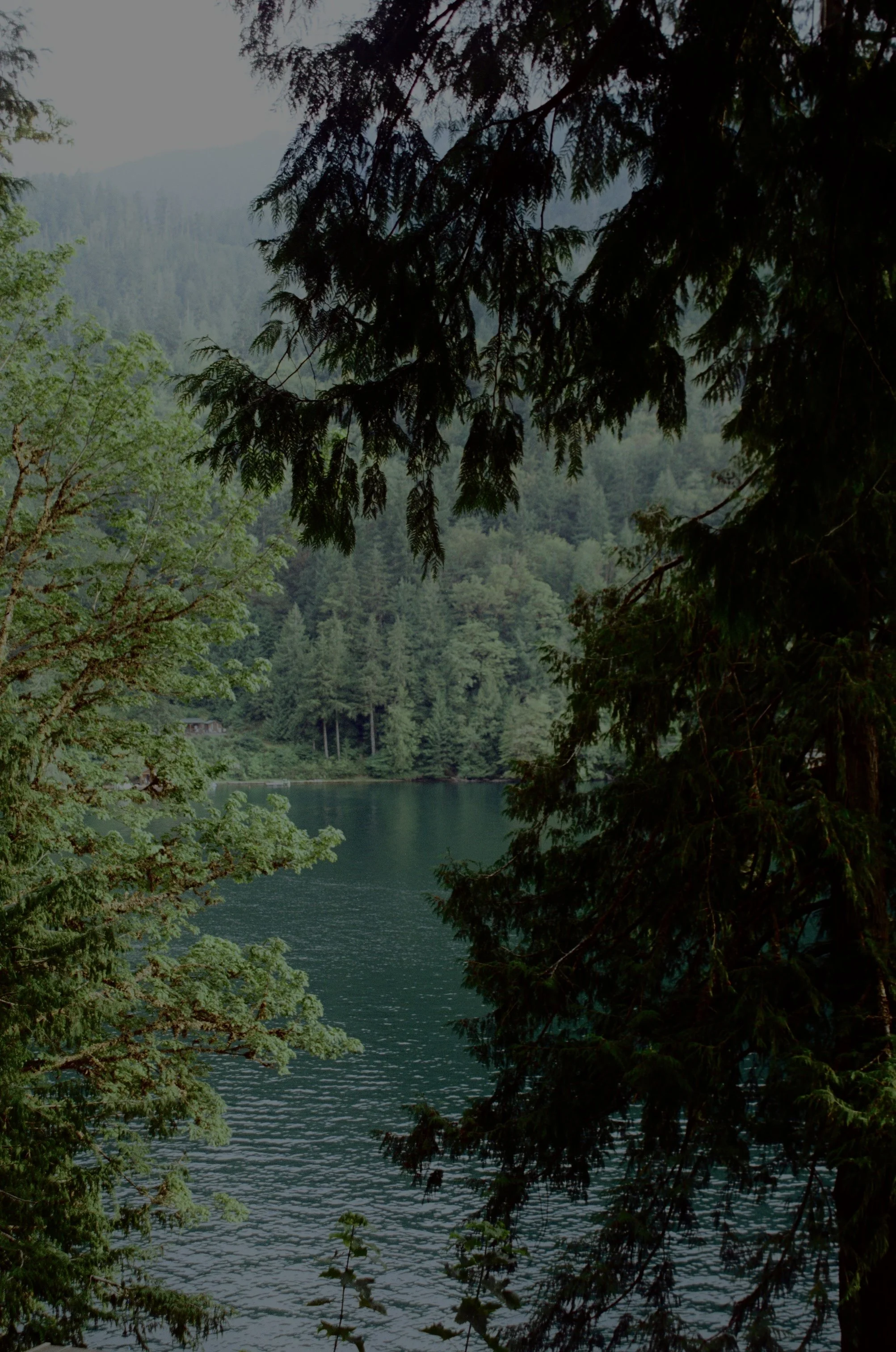 Scan37142.jpg