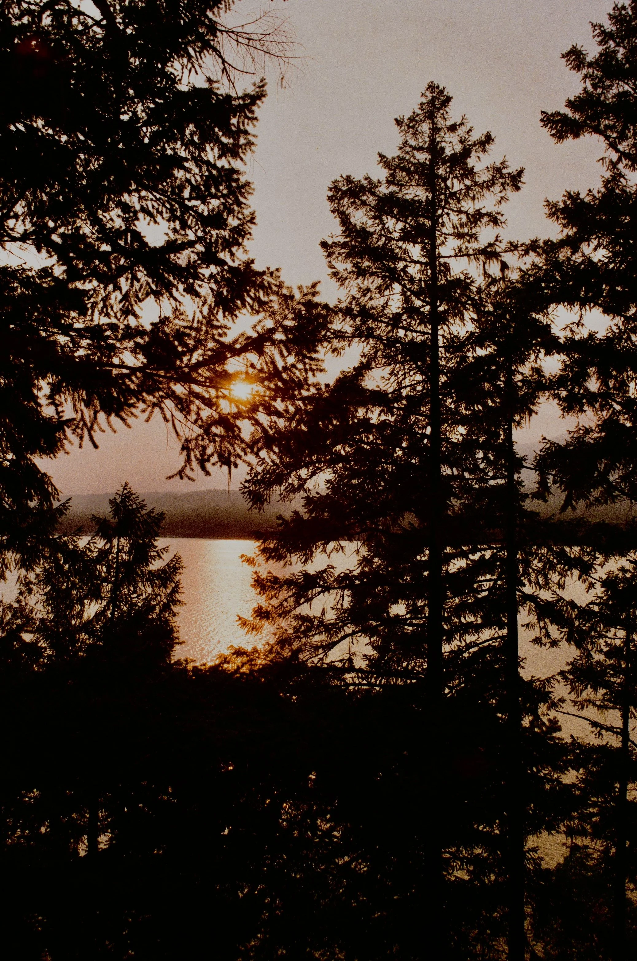 Scan214222.jpg