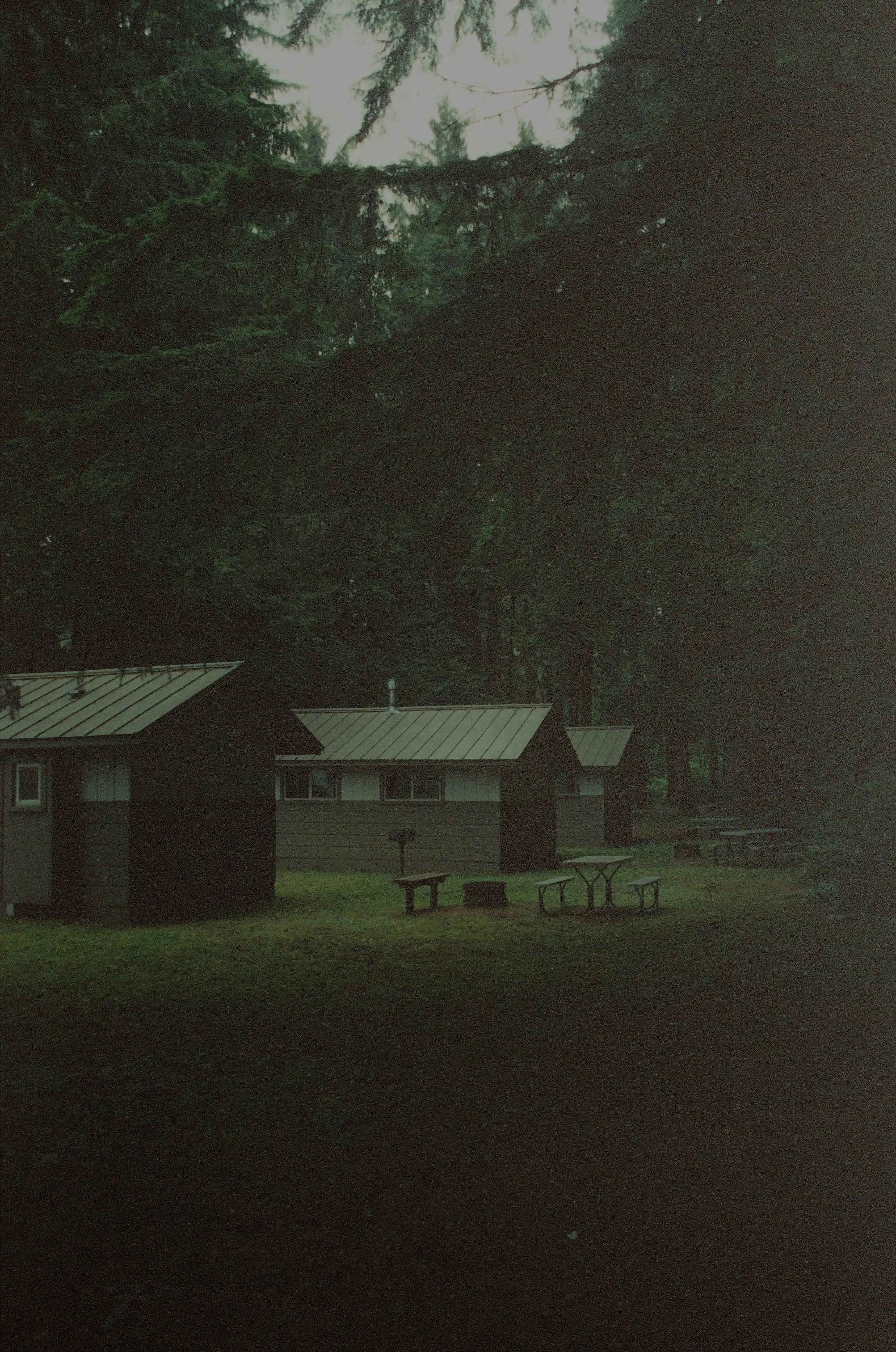 Scan52459.jpg