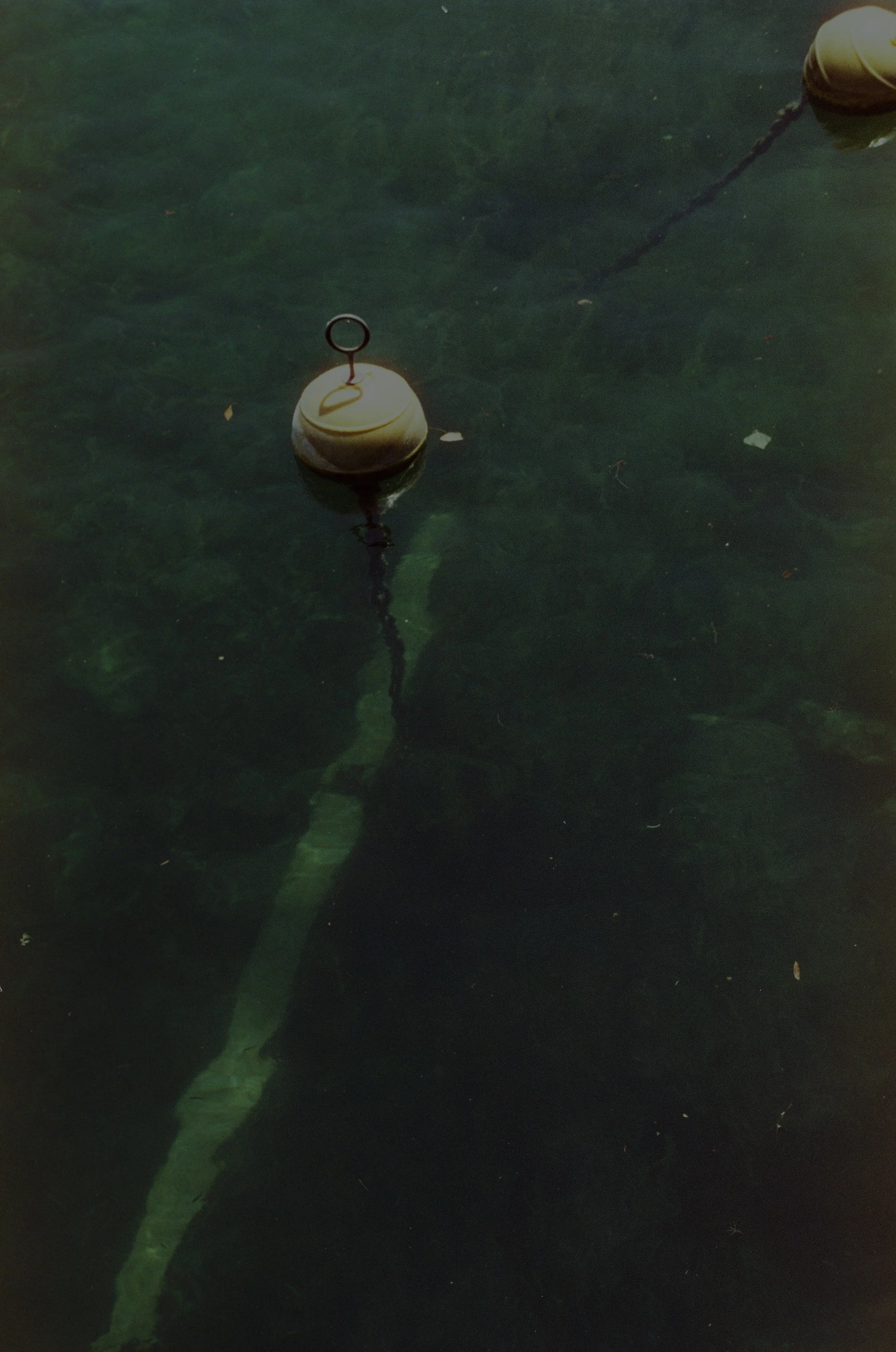 Scan37192.jpg