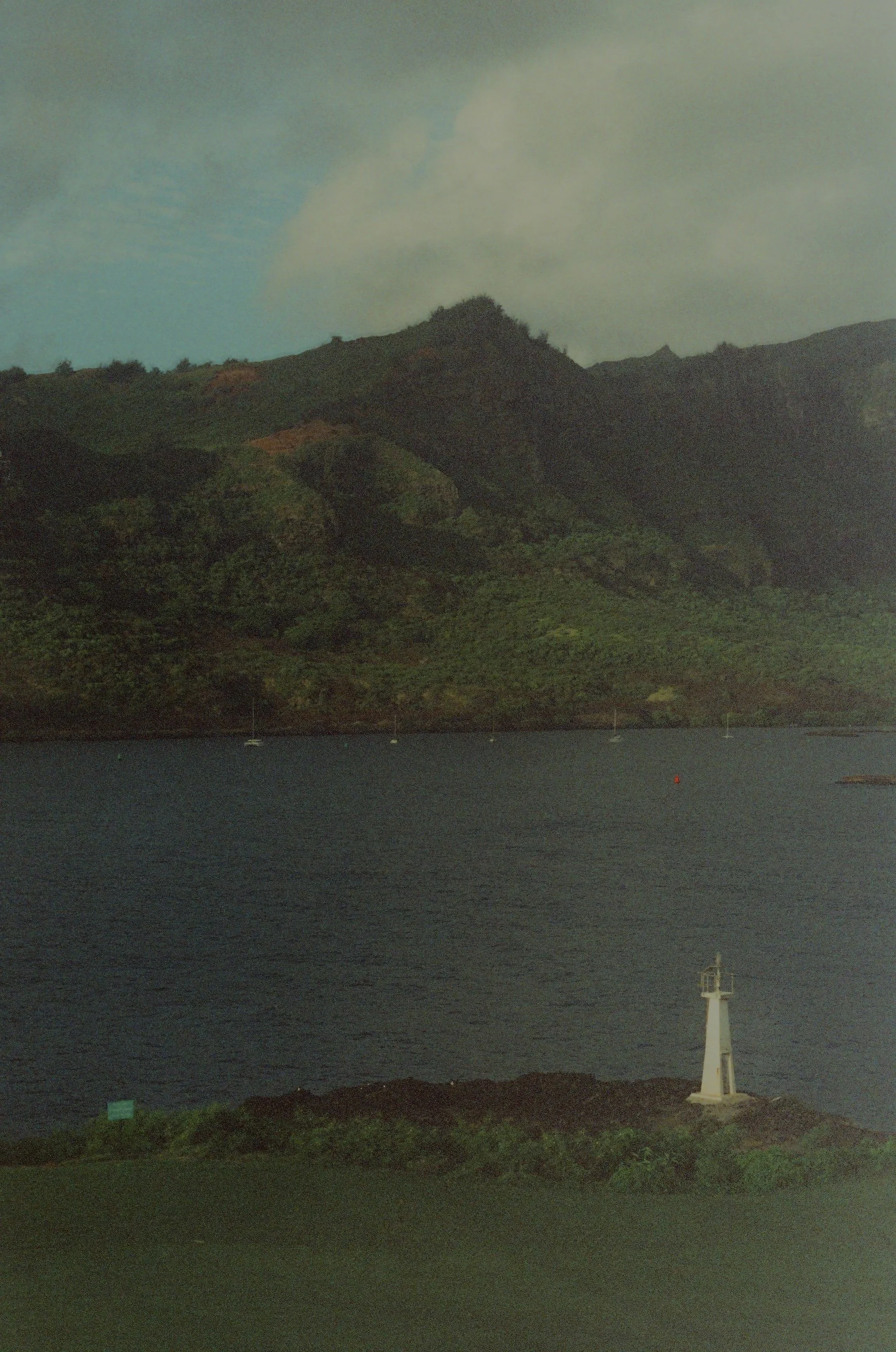Scan52443.jpg