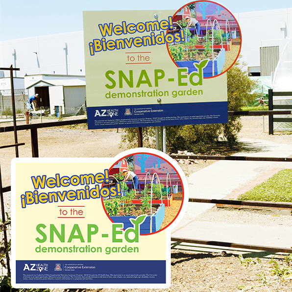 AZ Health Zone