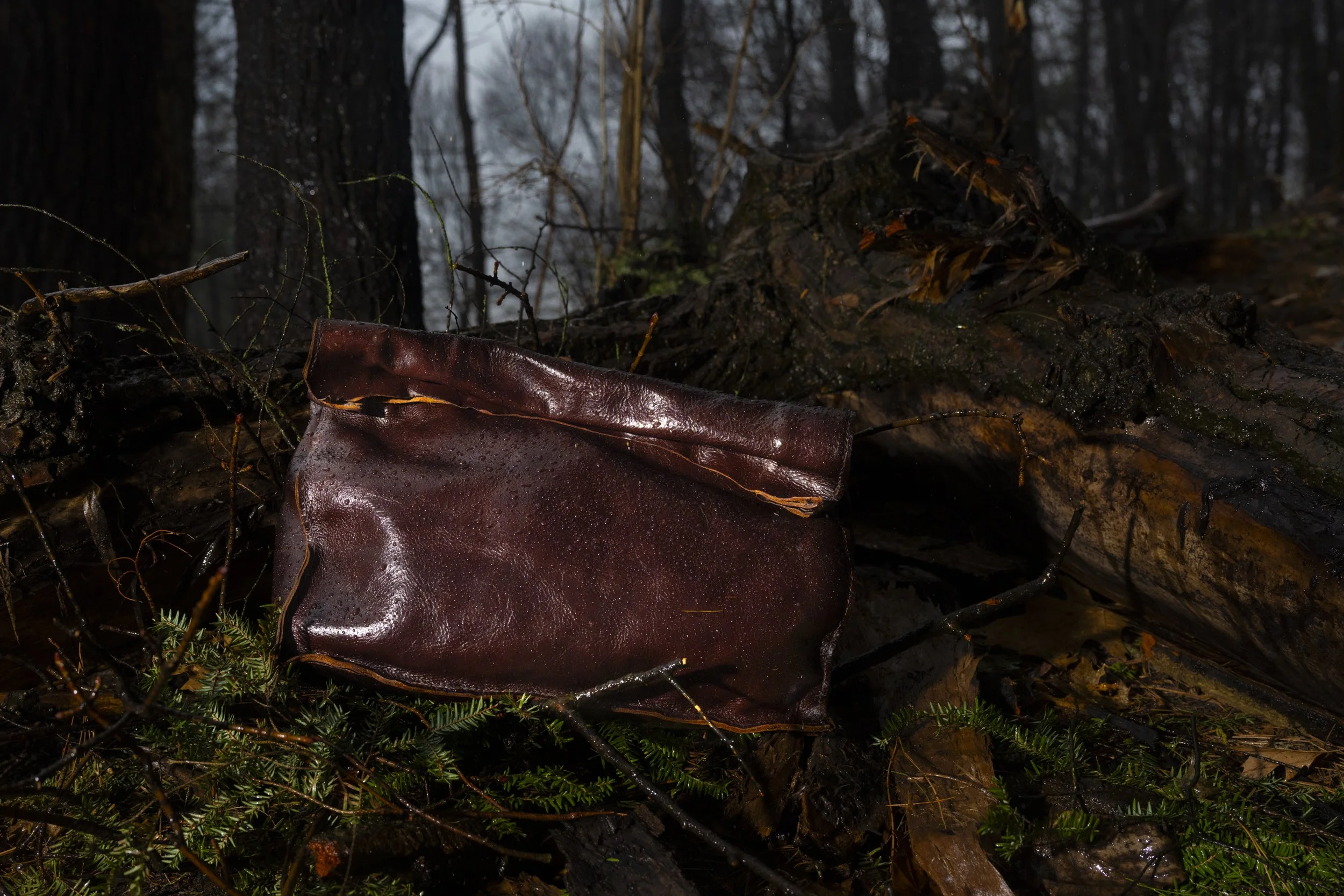 Close-up of a fallen, wet brown leather bag on the forest ground, surrounded by small evergreen branches, with a fallen tree trunk and dark, dense forest in the background.