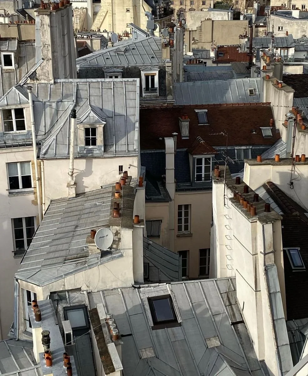 View of Paris rooftops with chimneys, windows, and metal and tile rooftops in a dense cityscape.
