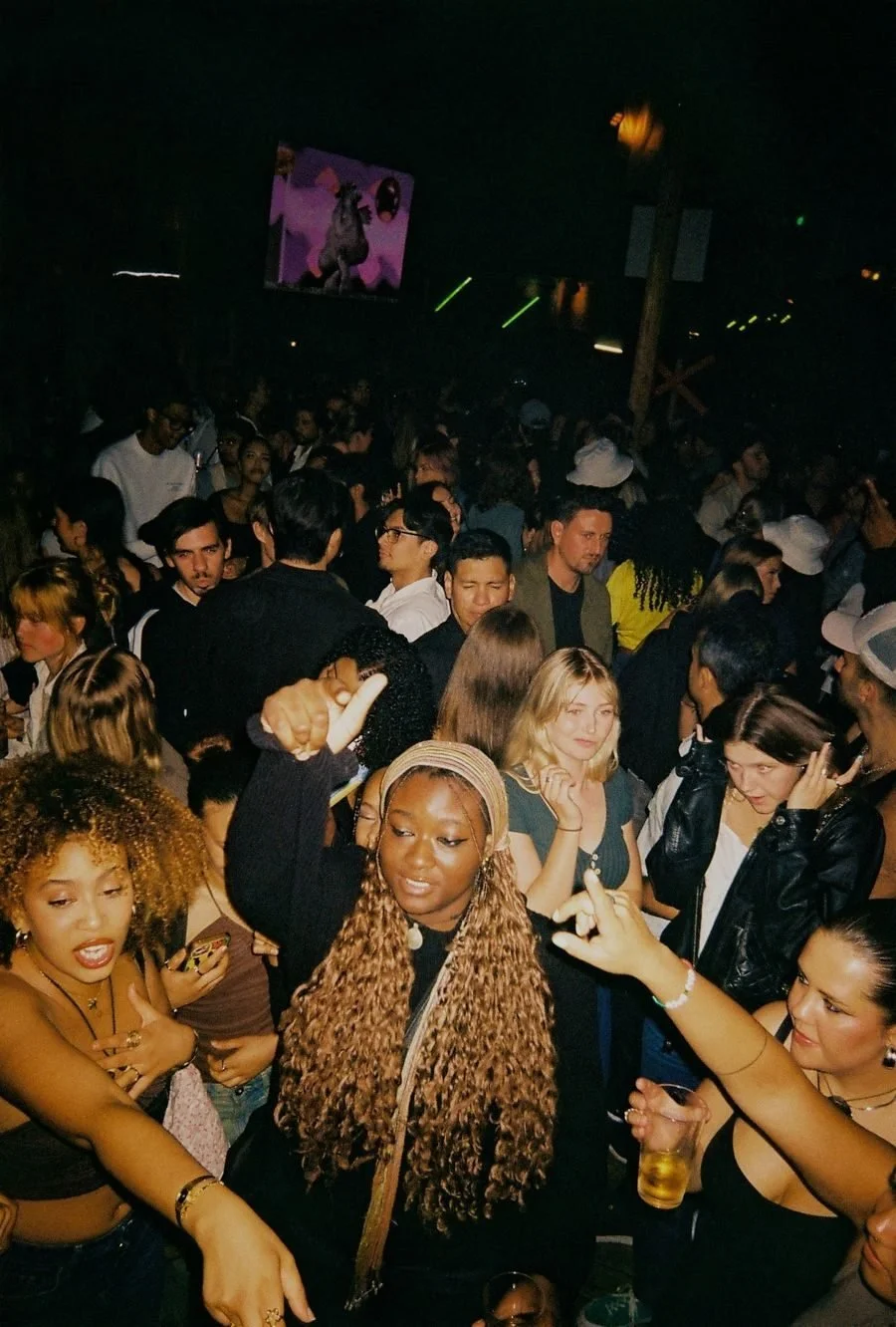 v02_16.jpg