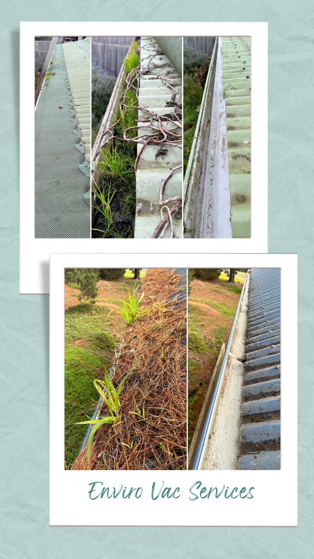 Photos of roof gutters and downspouts, showing clean and clogged areas with debris and plants growing around the gutters, with text stating 'Enviro Vac Services'.