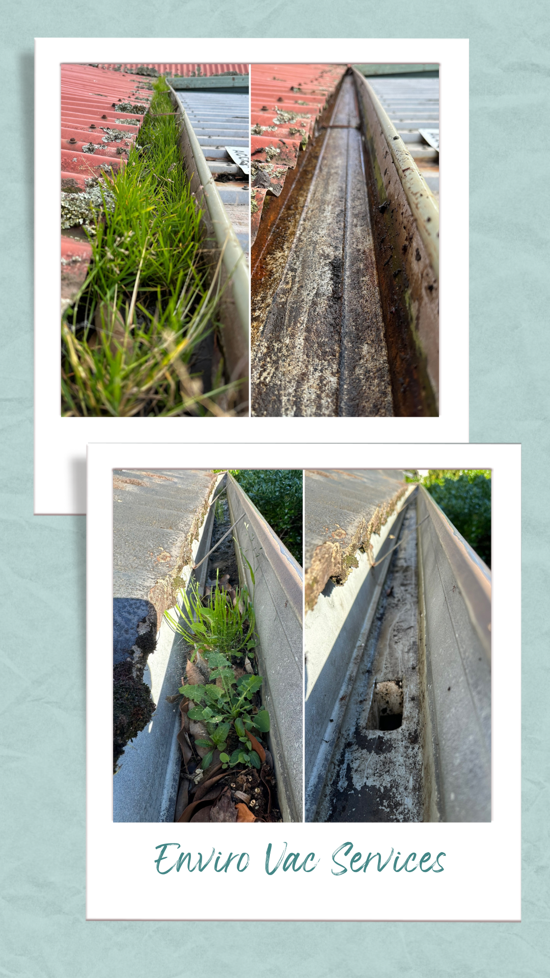 Before and after images of gutter cleaning showing clogged gutters with debris and plants, and cleaned gutters, with the text 'Enviro Vac Services' at the bottom.