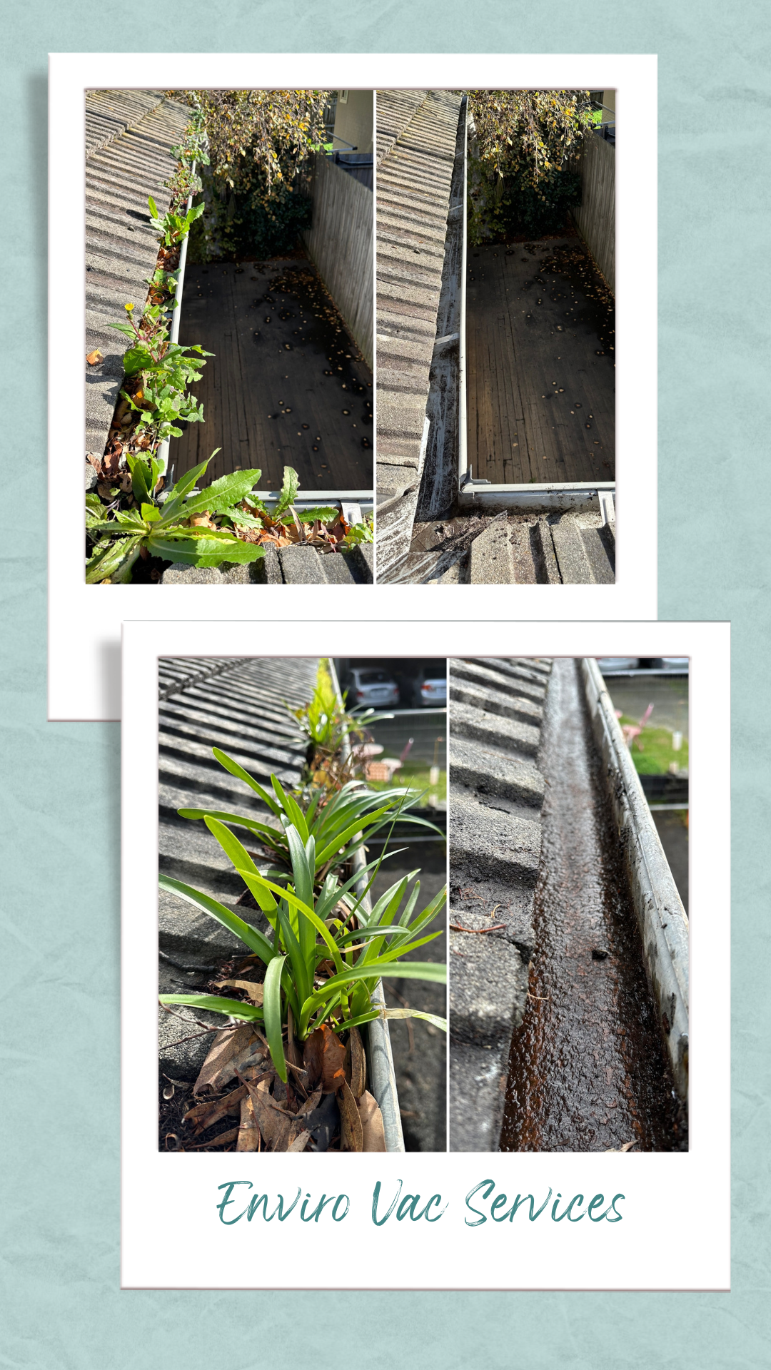 Photos of gutter cleaning and debris removal, with plants growing along the edge, indicating gutter cleaning service by Enviro Vac Services.