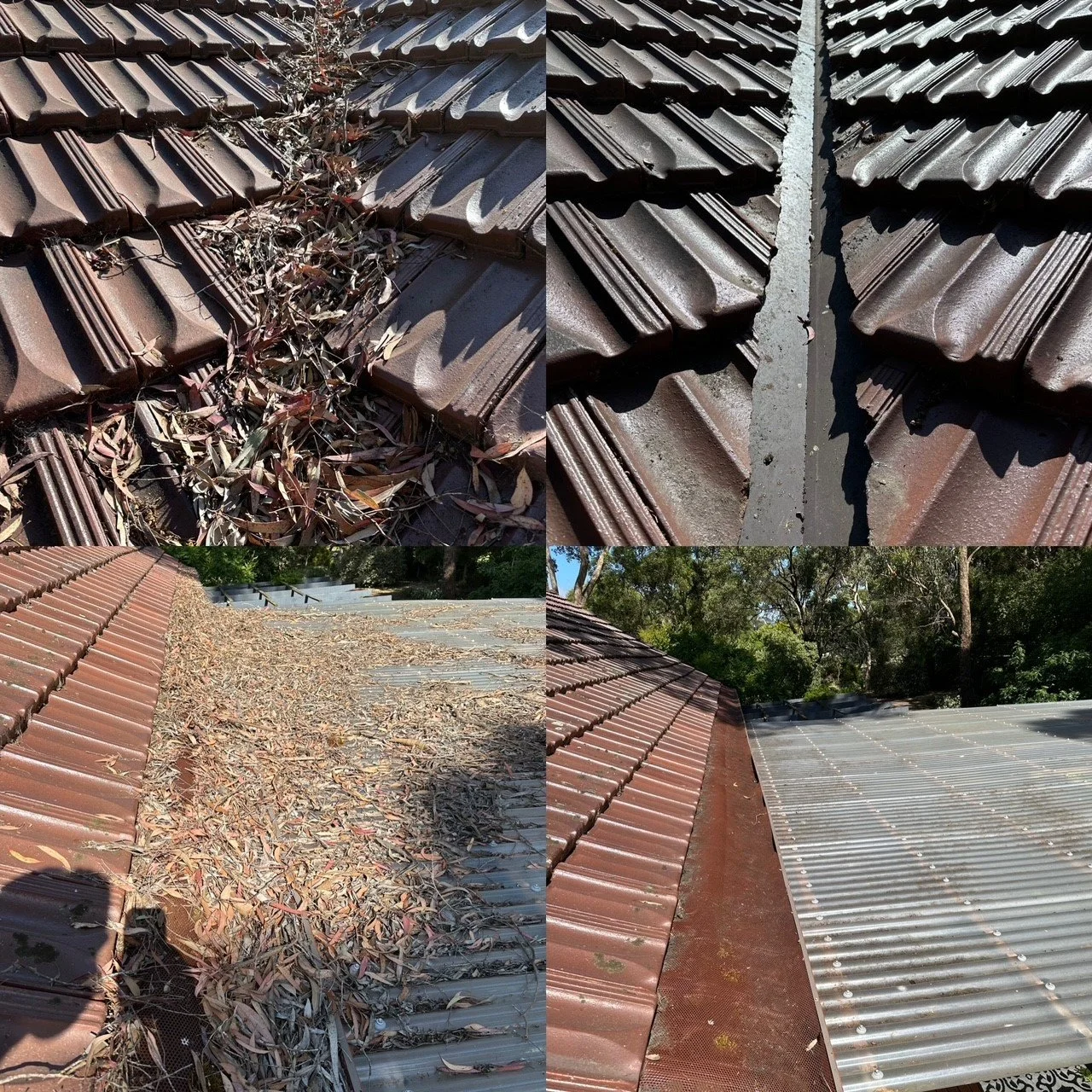 Close-up of a brown tiled roof with dried leaves and twigs accumulated in a narrow gap between tiles. The roof slopes downward with sections of clay tiles and corrugated metal panels, surrounded by trees and greenery.
