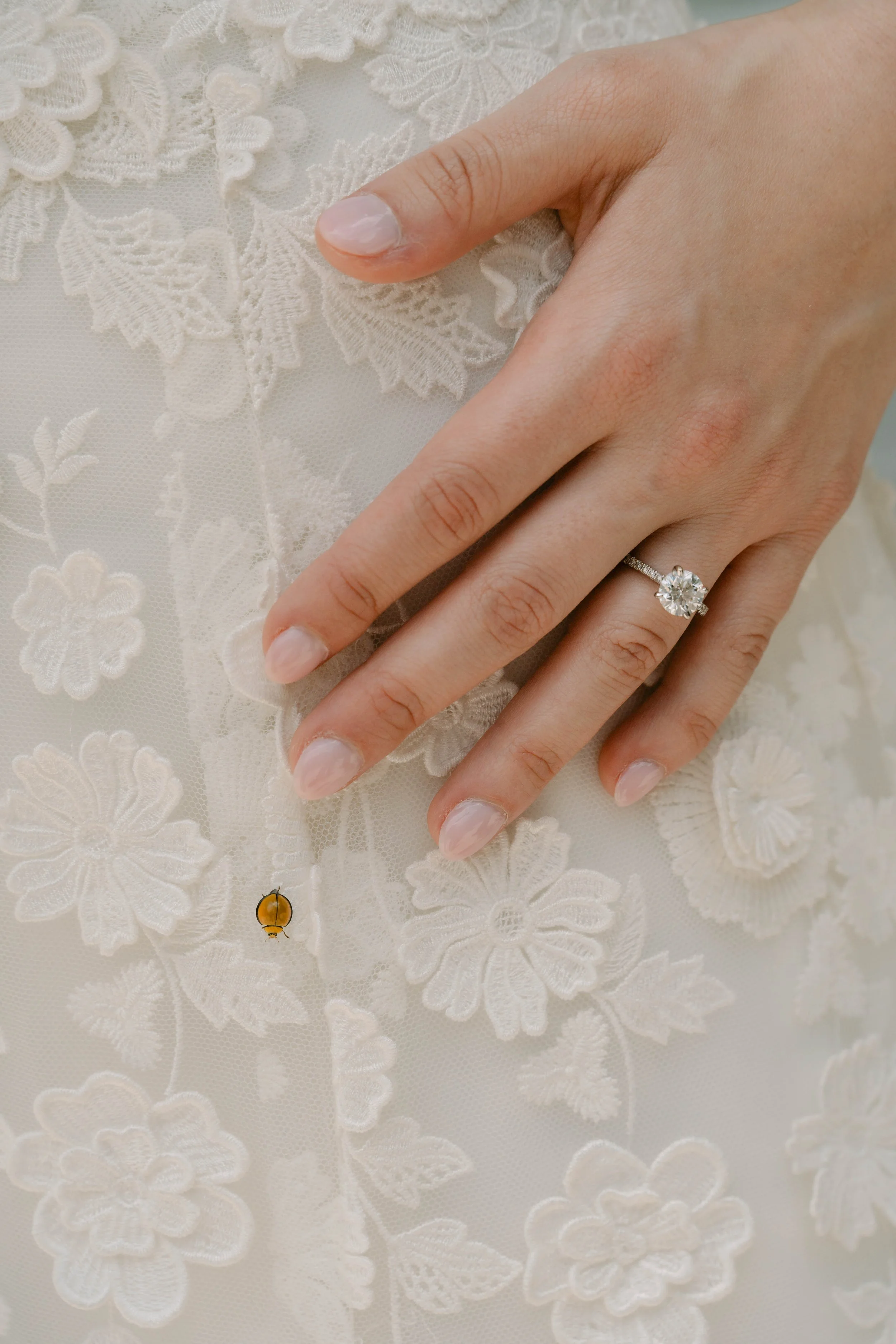 BODA BALBINA Y ROBERTO   497.jpg