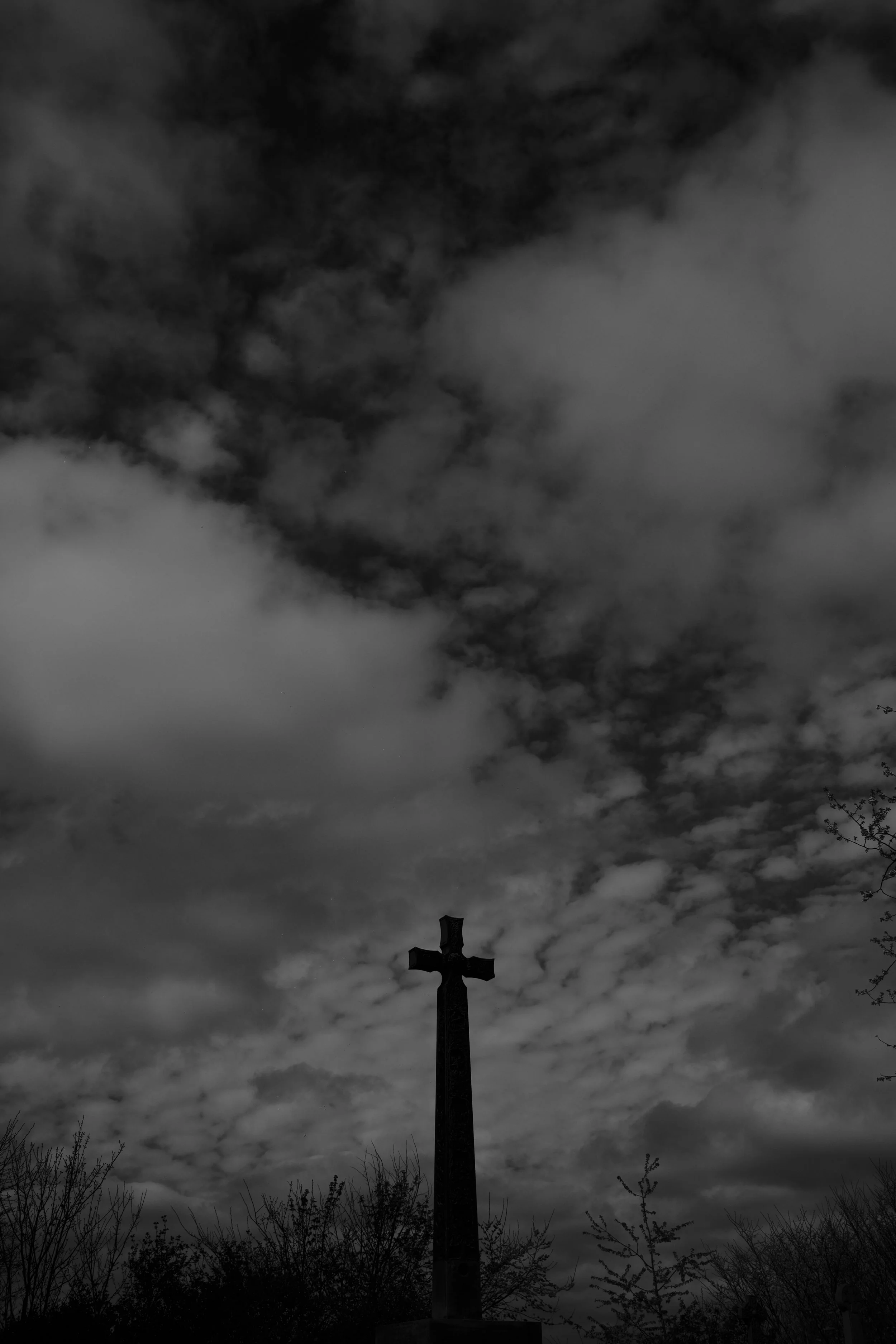 _DSF5755.JPG